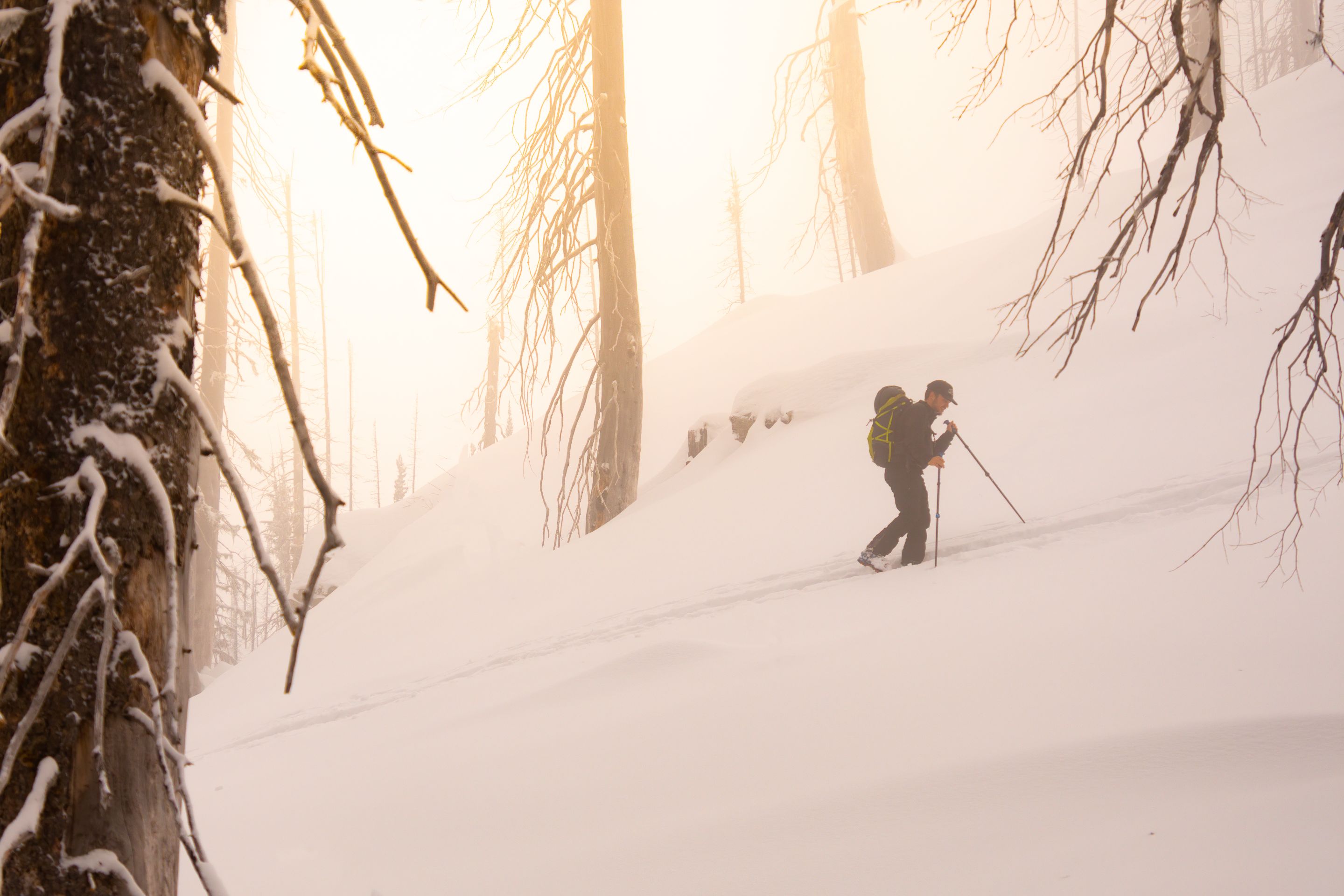 feb_2022_dmarkel_ski_touring_sun.jpg