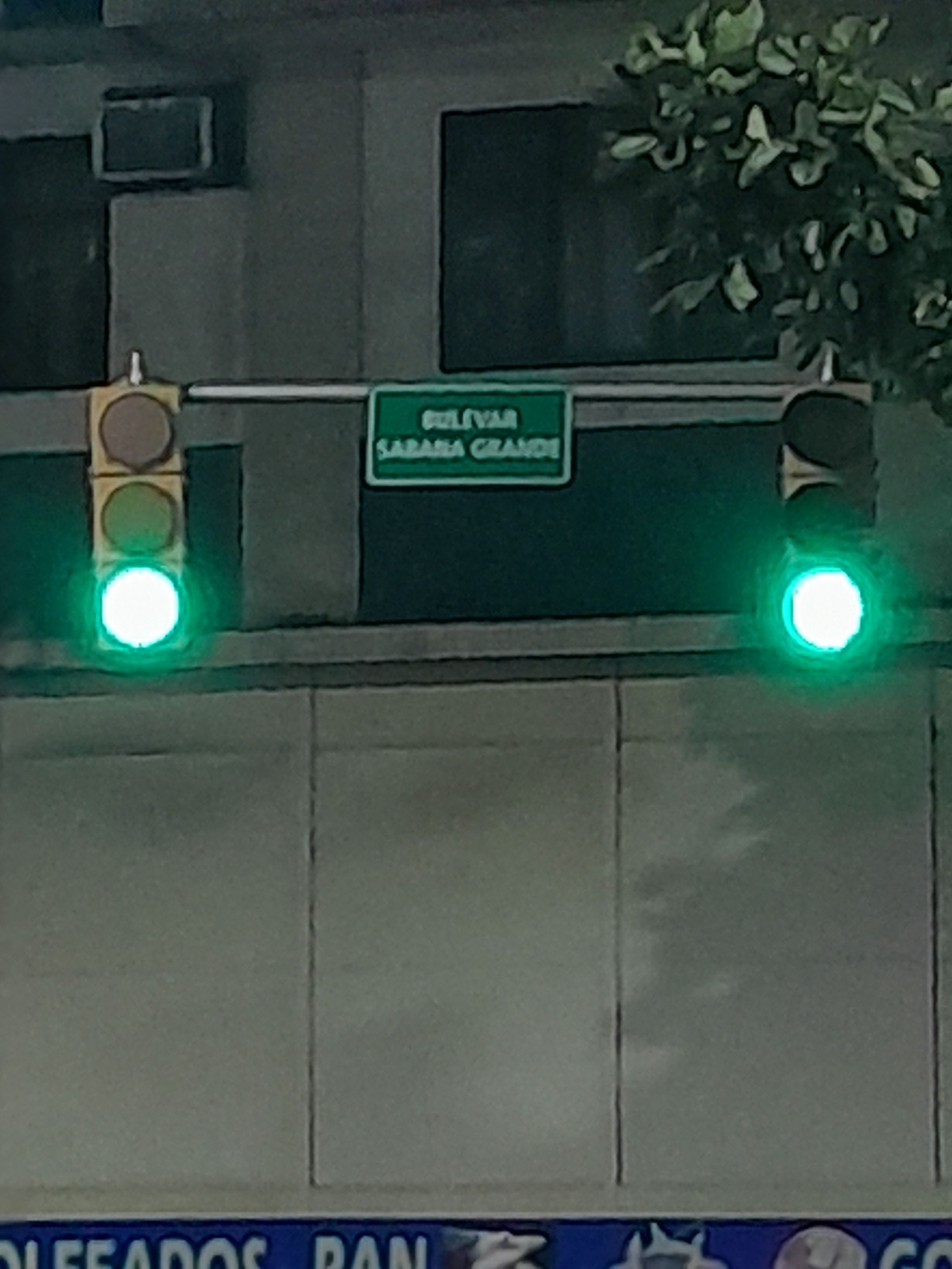 20231111_190255.jpg