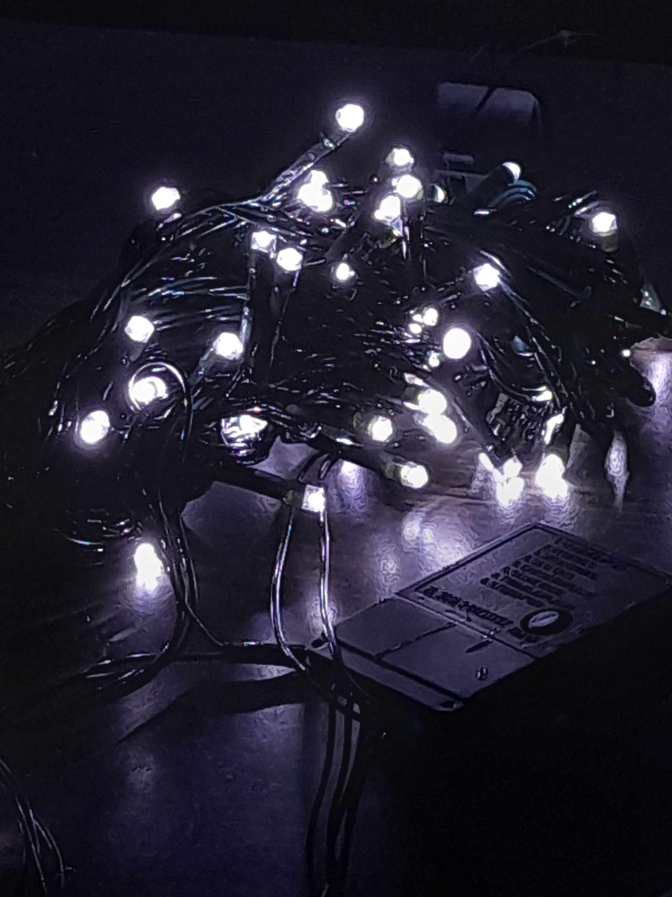 20231104_233011.jpg