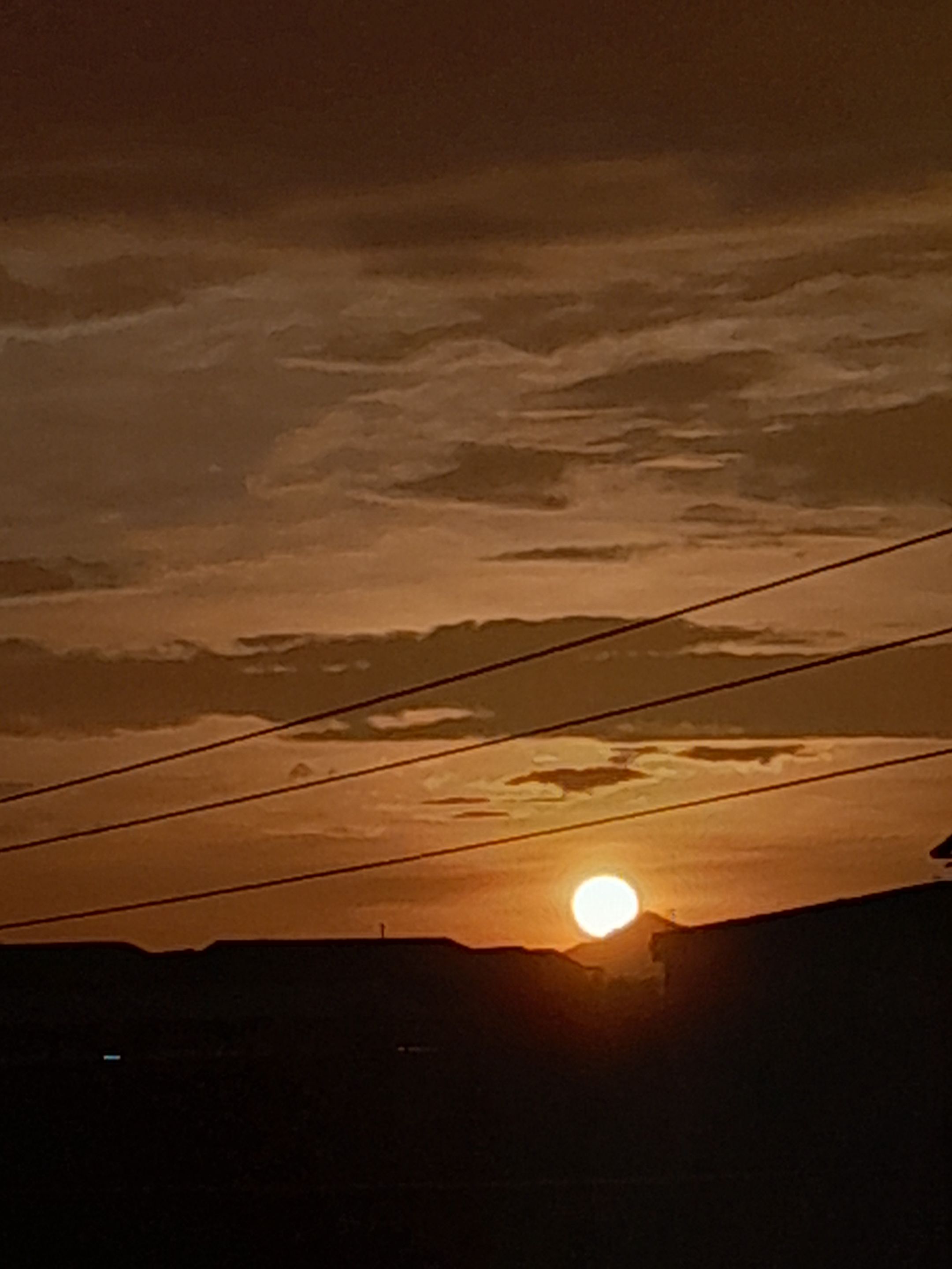 20231106_062942.jpg
