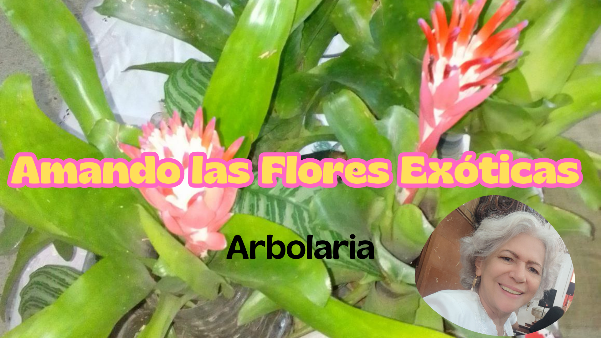 Amando las Flores Exóticas_20240529_194515_0000.png