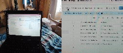 1000403919.gif