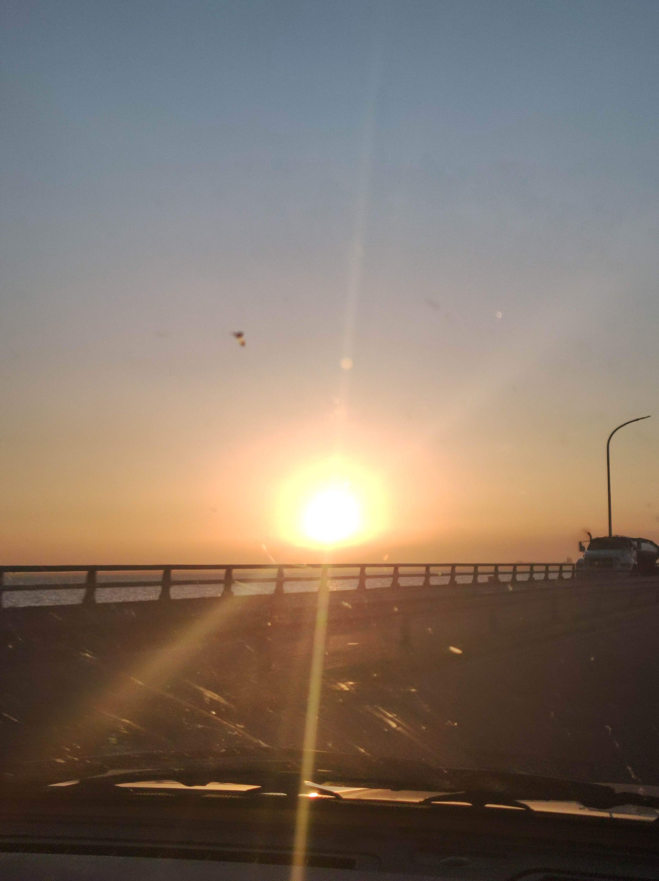 IMG_20221229_182127.jpg