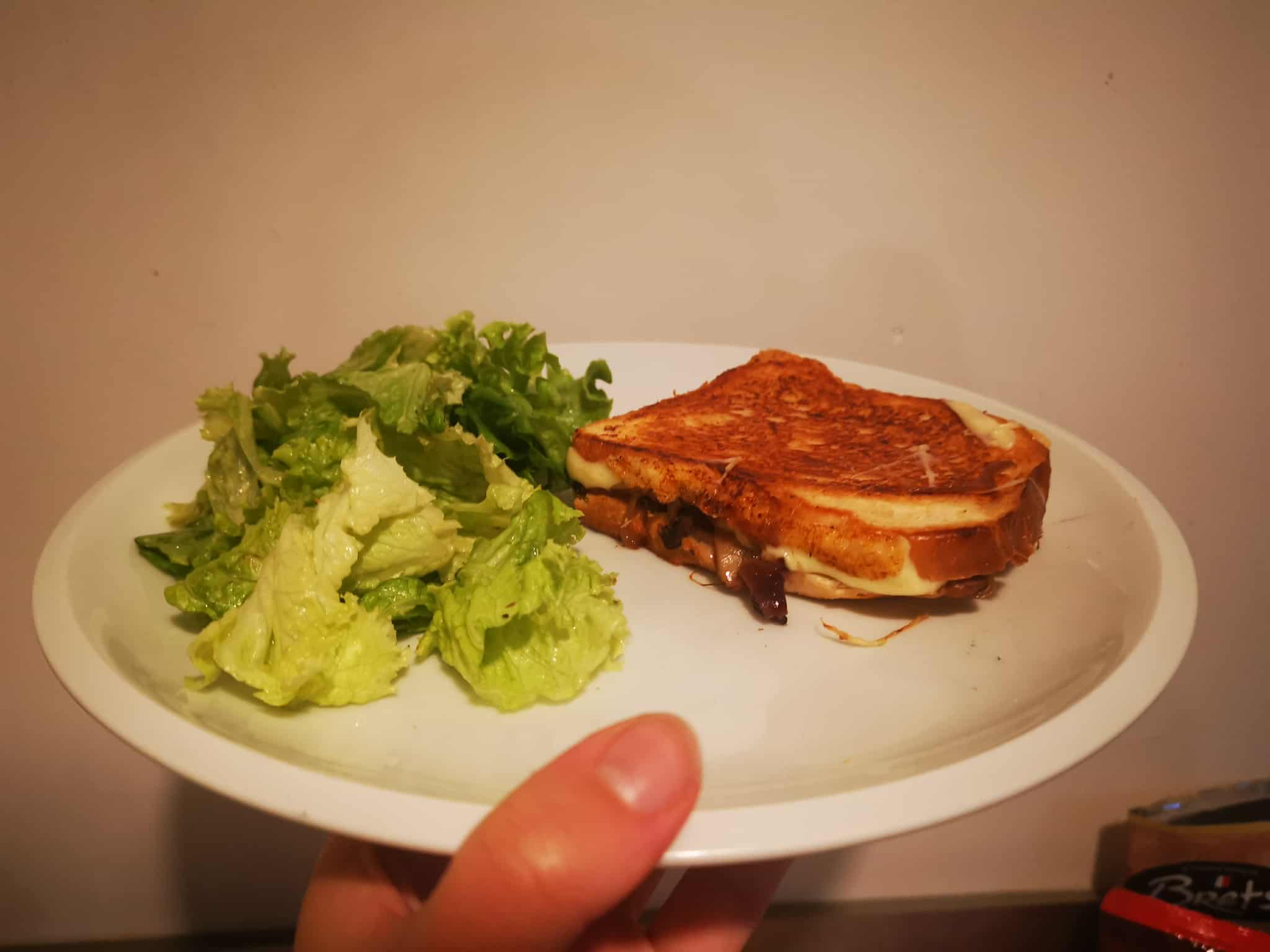 17--croques oignons champignons.jpg