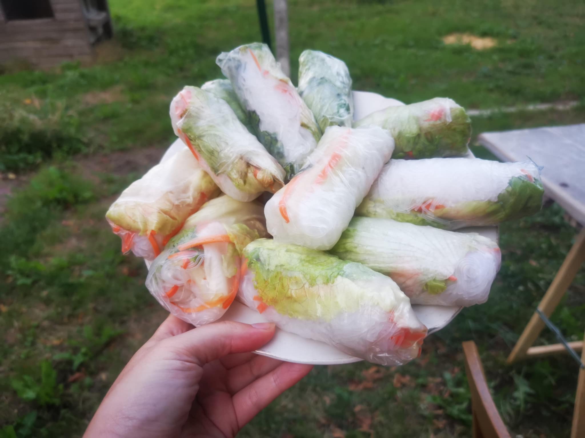 18-rouleaux de printemps.jpg