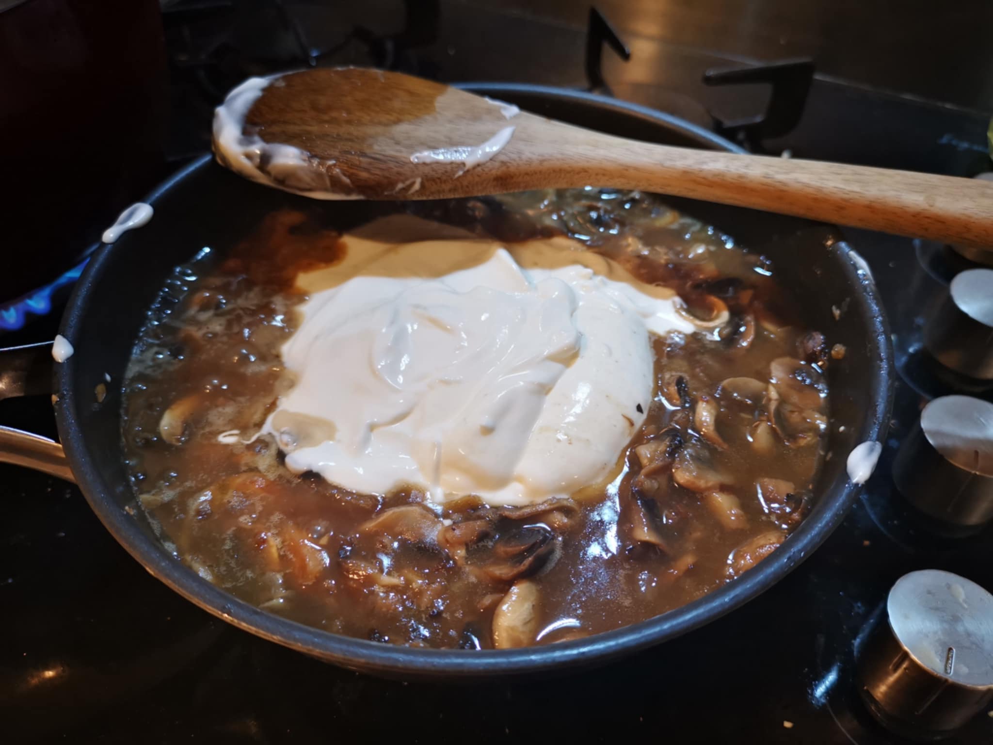 24-stroganoff.jpg