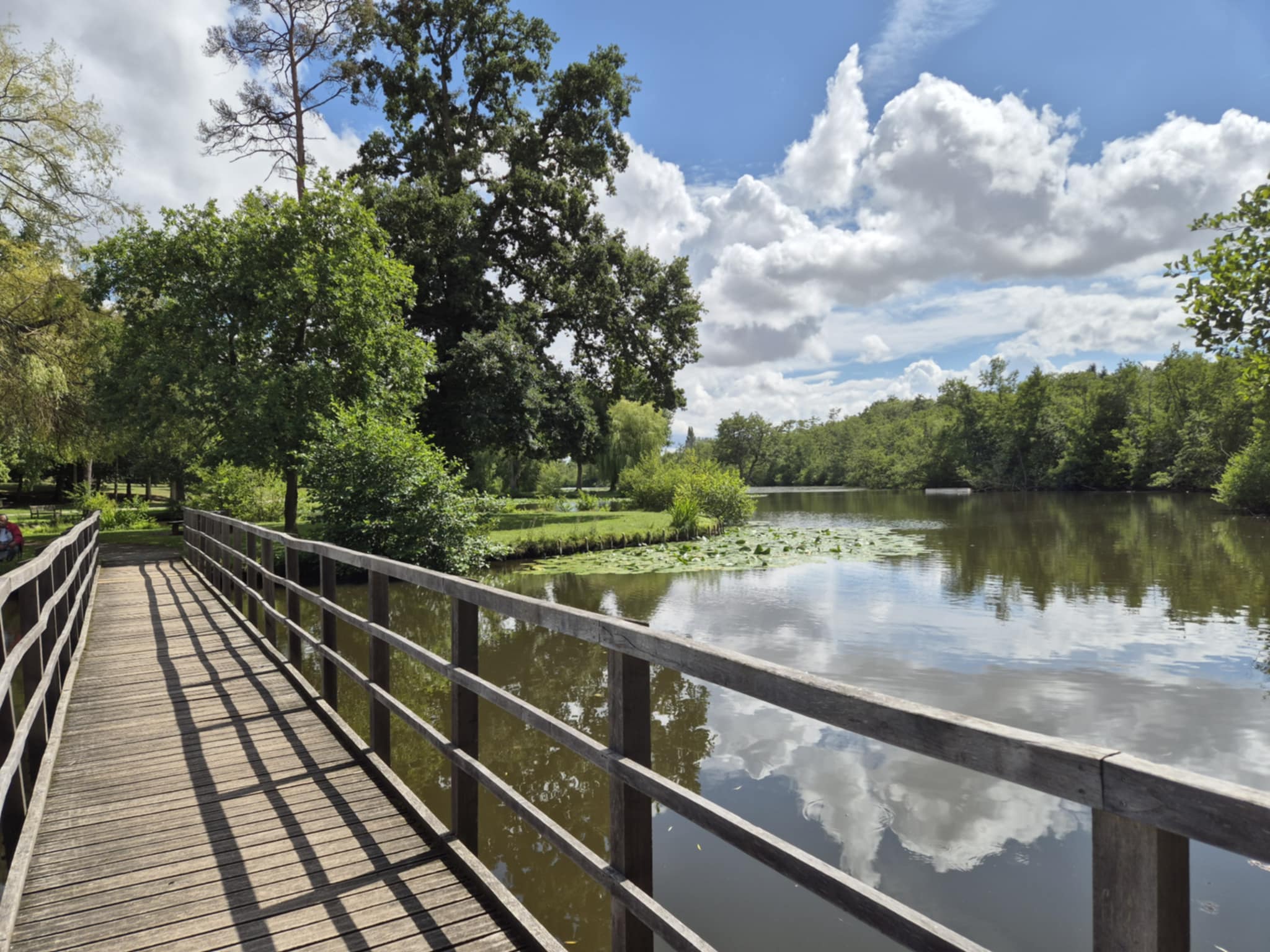 108924df-2182-4dd4-a17d-e05cc65a89a1.jpg
