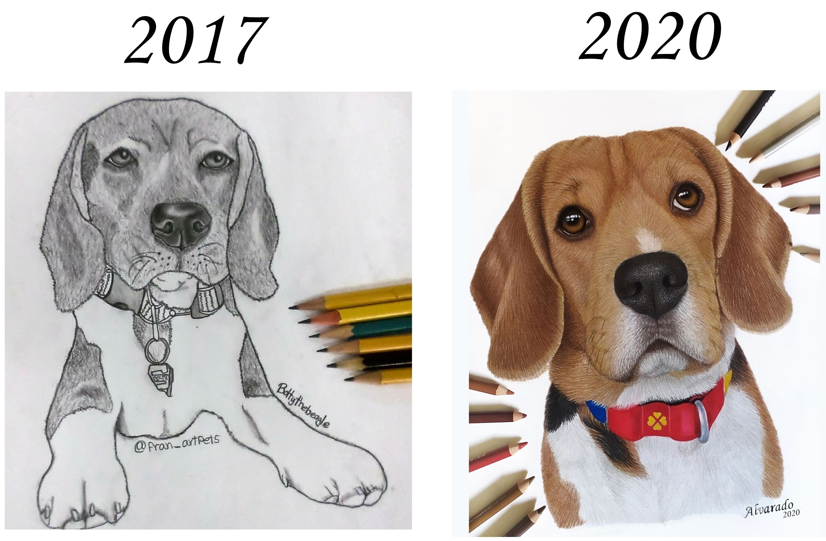 Beagledrawing.jpeg
