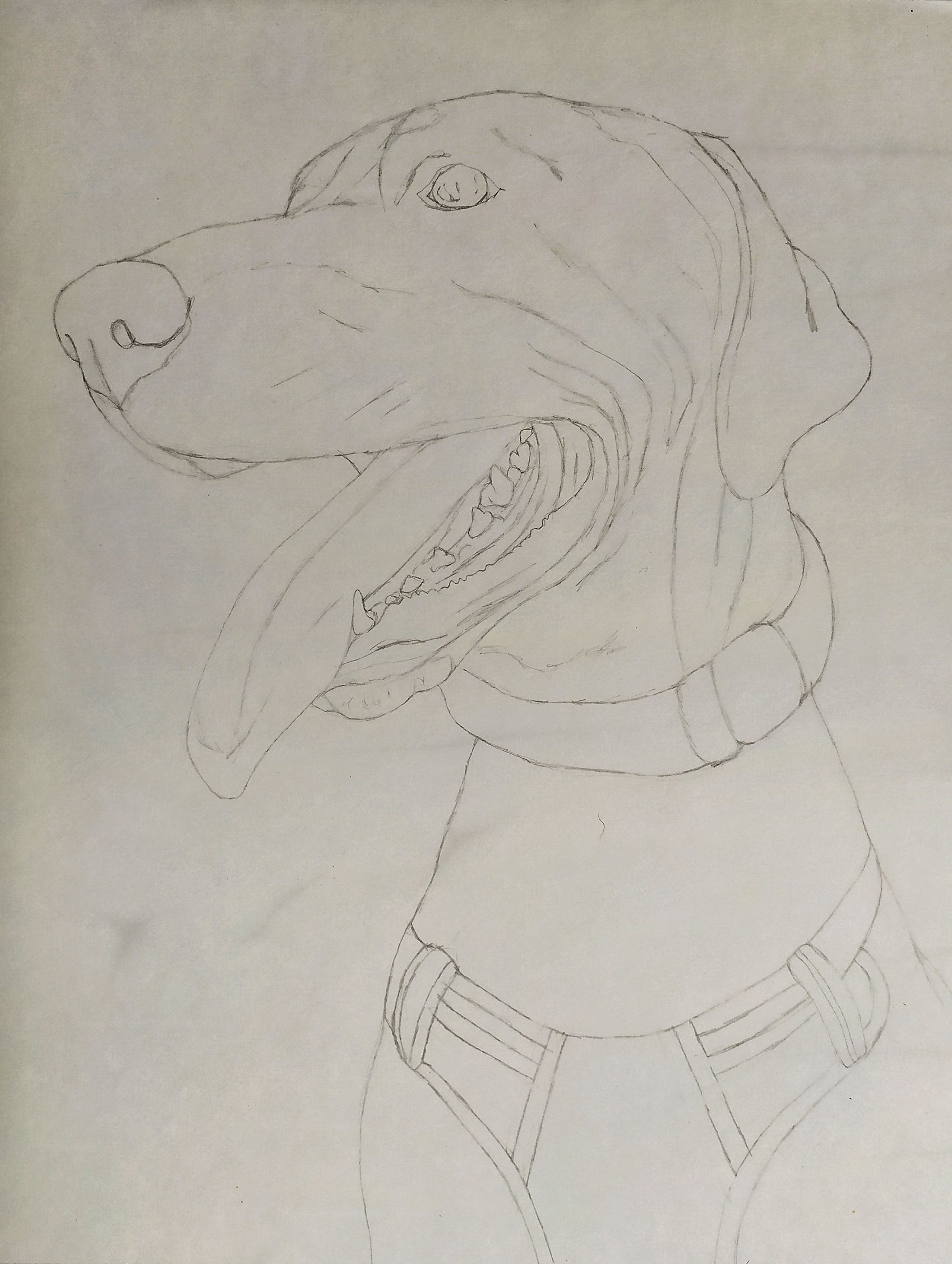 1637761761983.jpeg