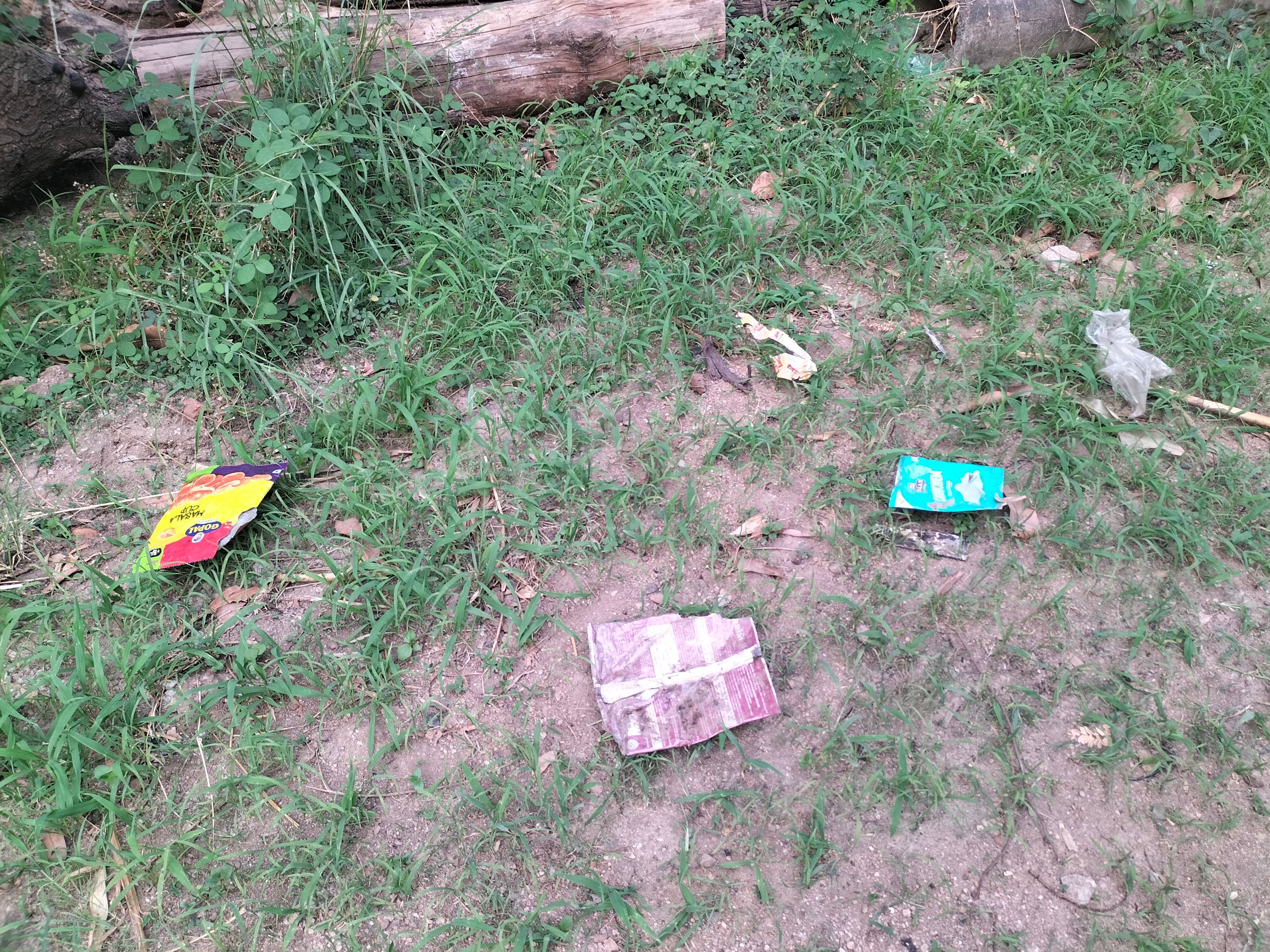 IMG20250521182158.jpg