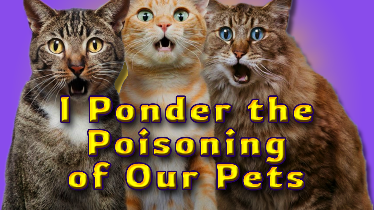 I Ponder the Poisoning of Our Pets Header.png