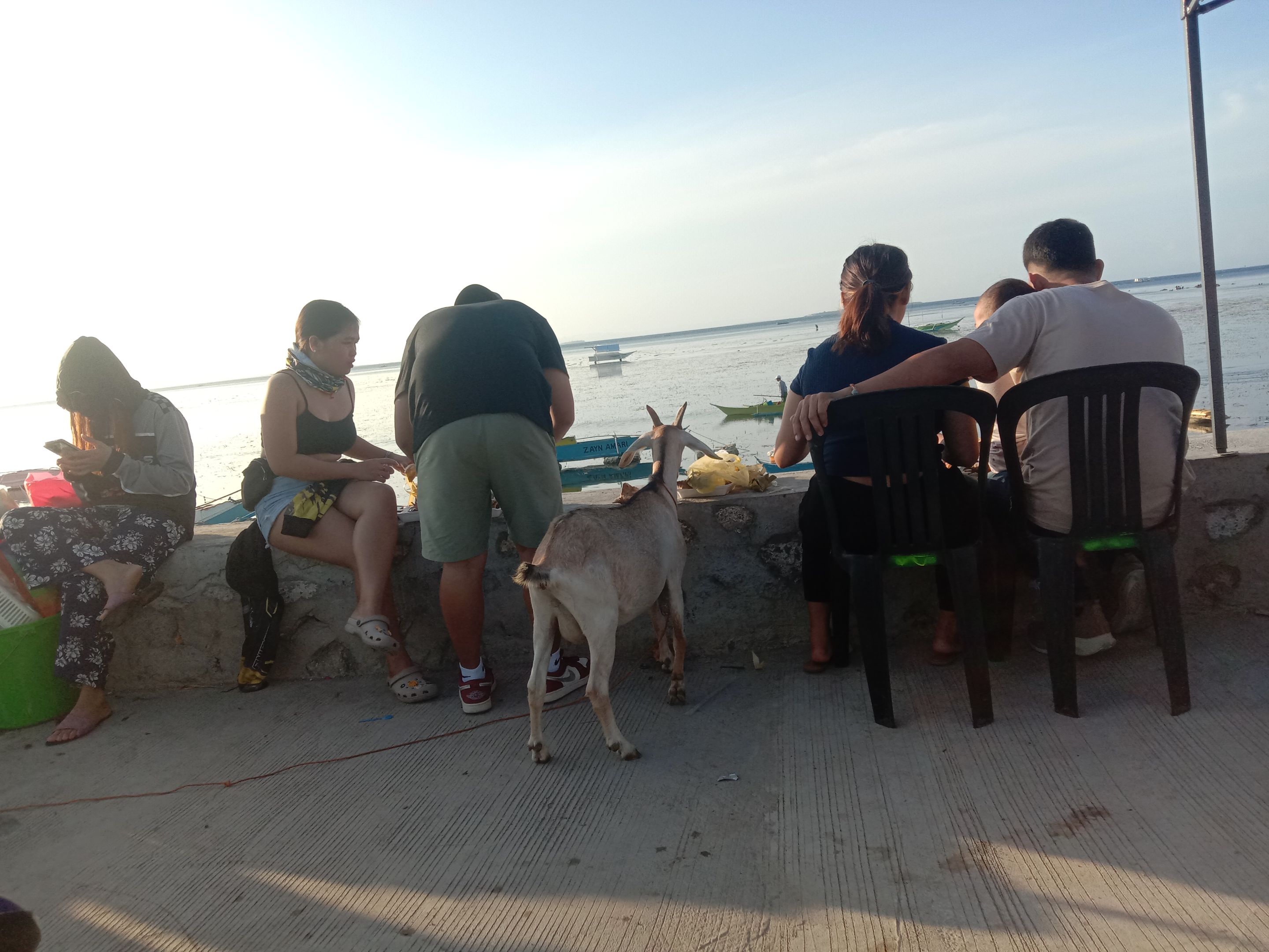 IMG_20250727_063129.jpg