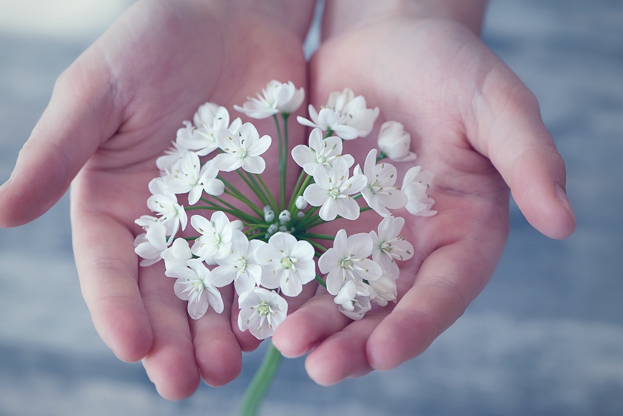 flower-gd01b44db1_1280.jpg