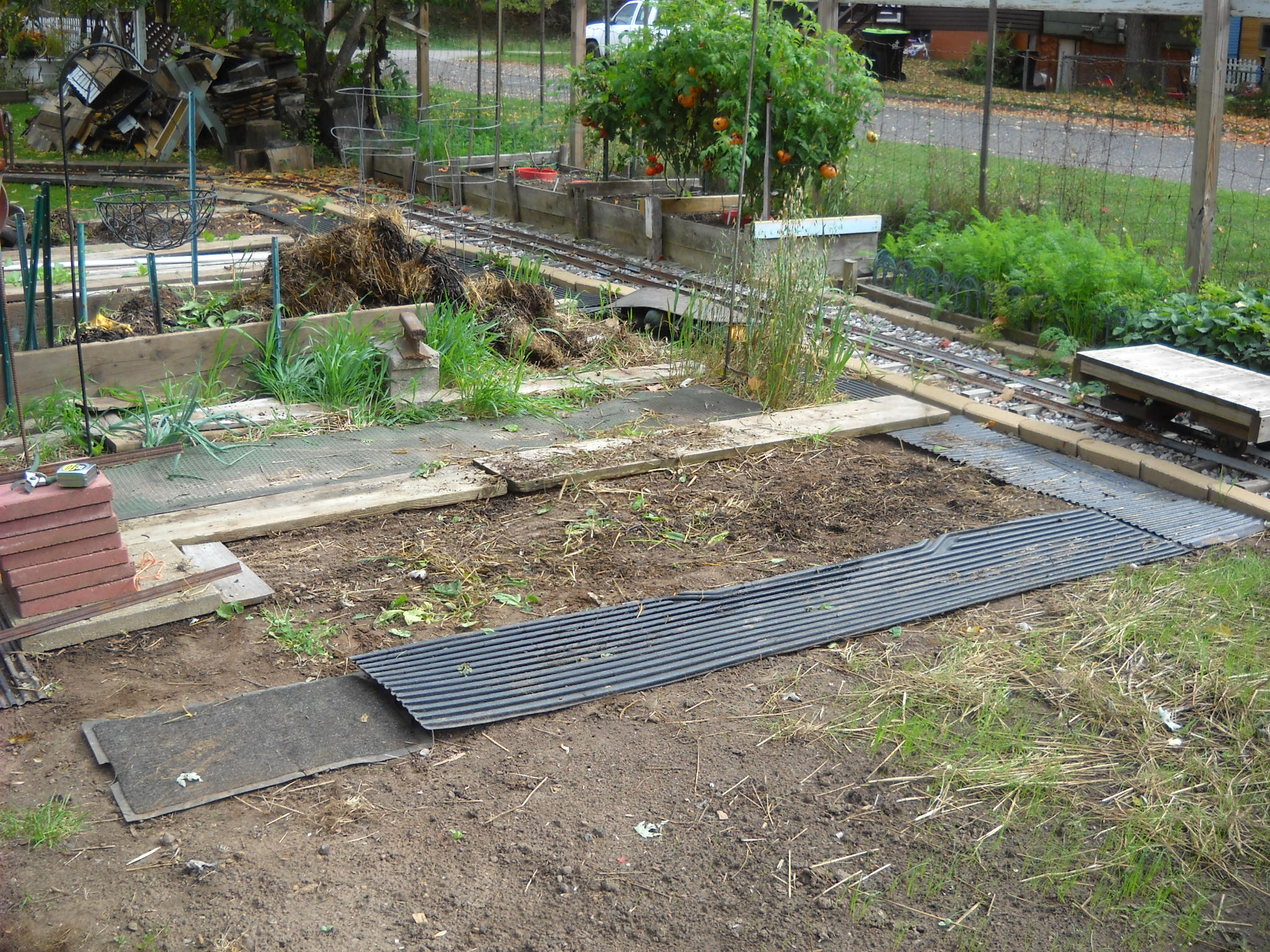 DSCN0178.JPG