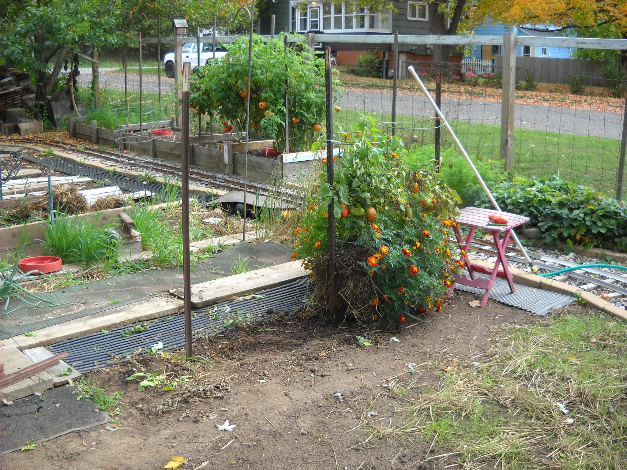 DSCN0177.JPG