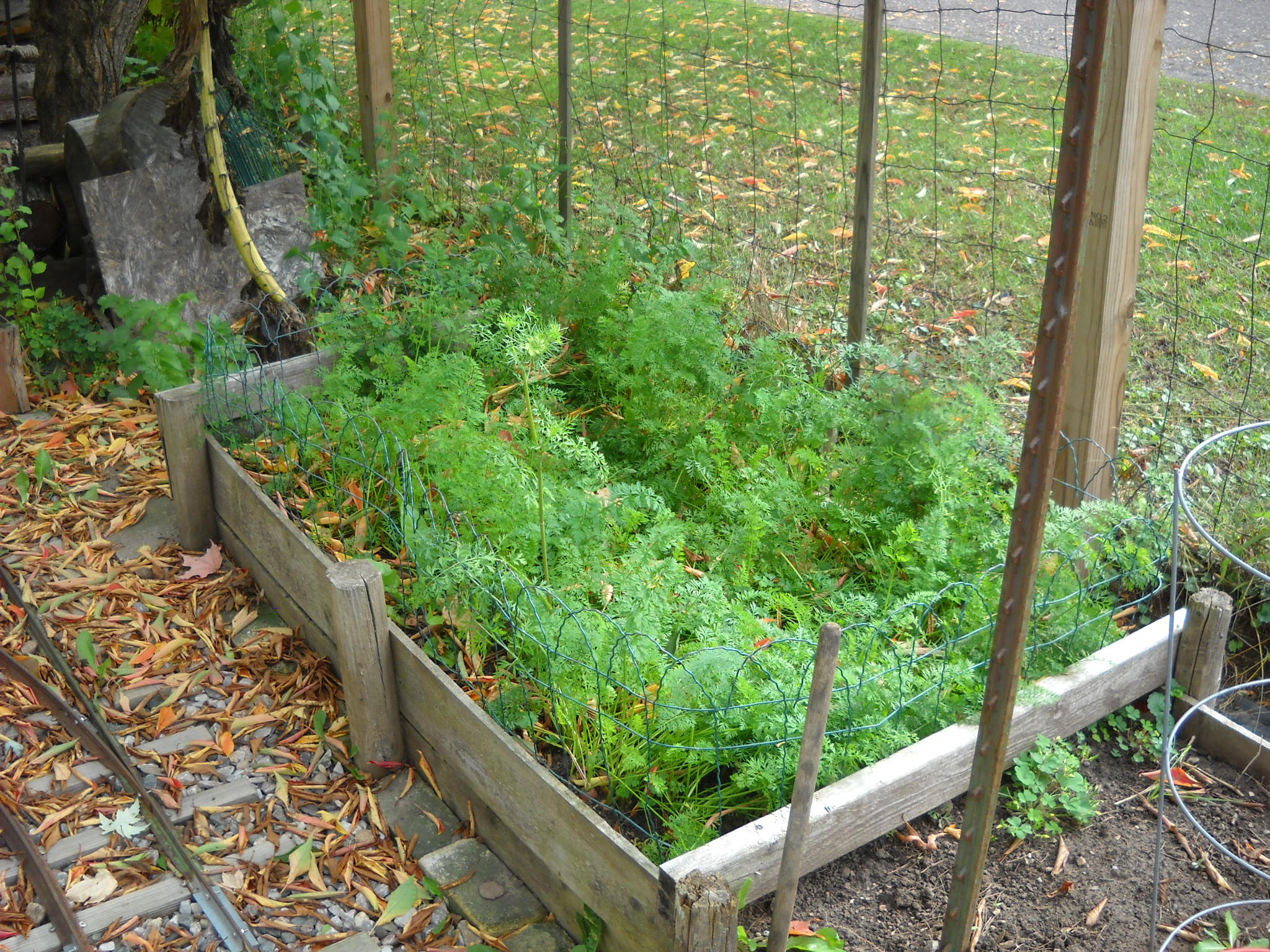 DSCN0175.JPG