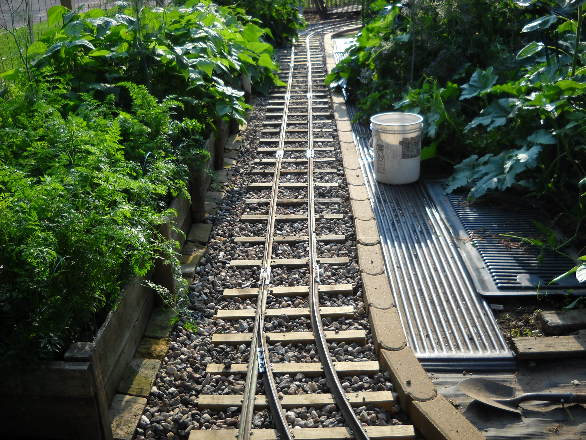 DSCN5305.JPG