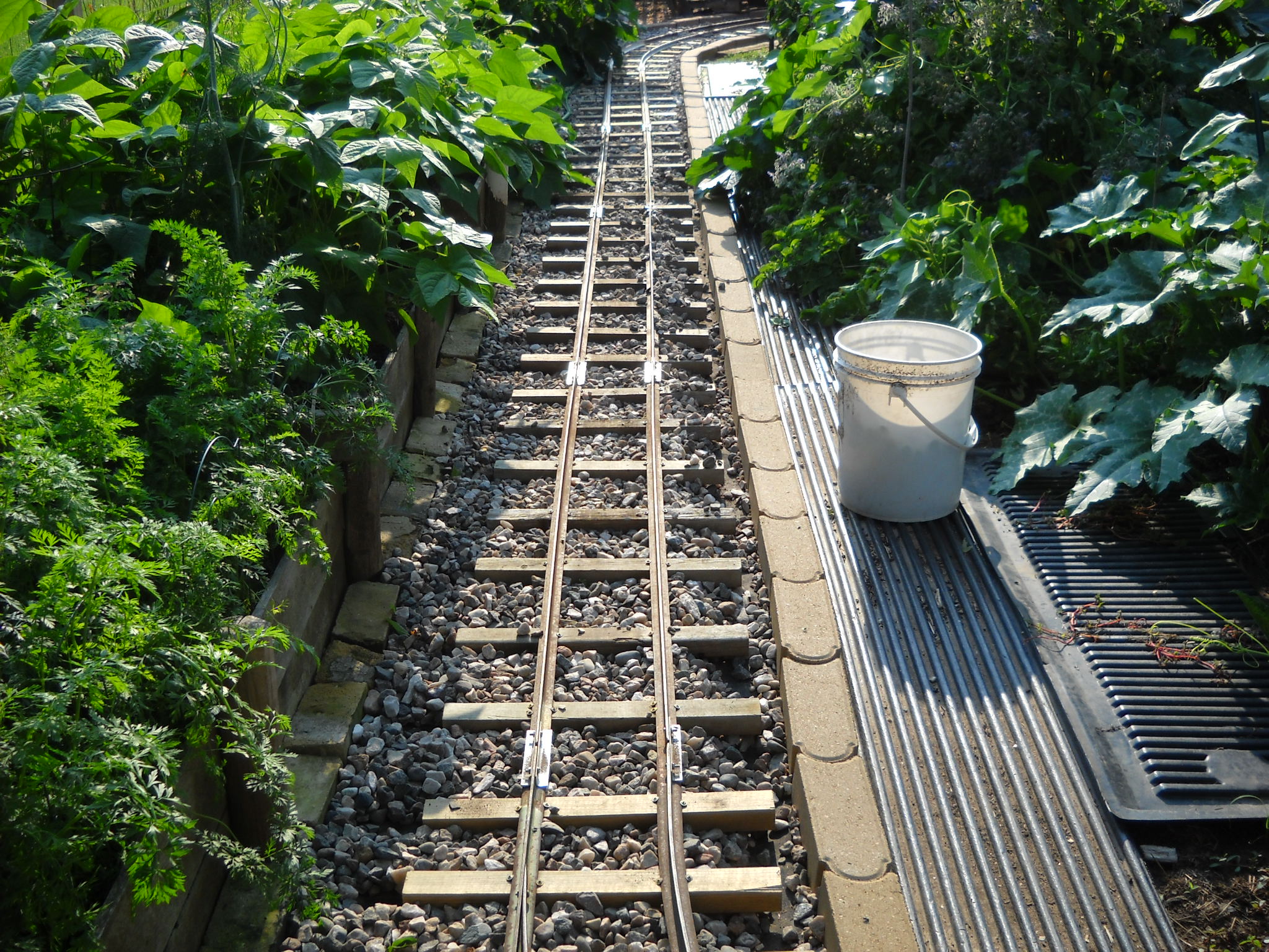 DSCN5302.JPG