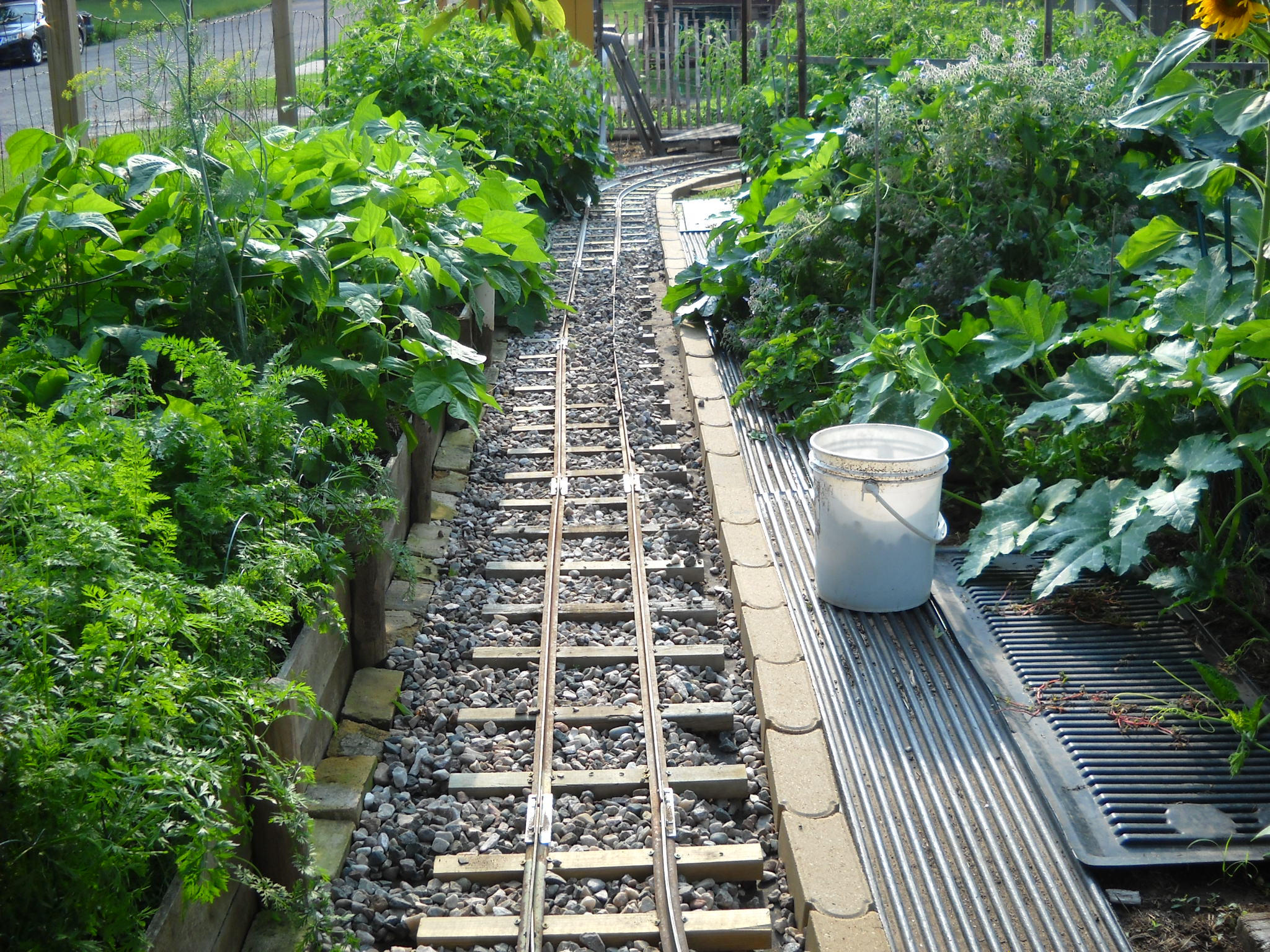 DSCN5301.JPG