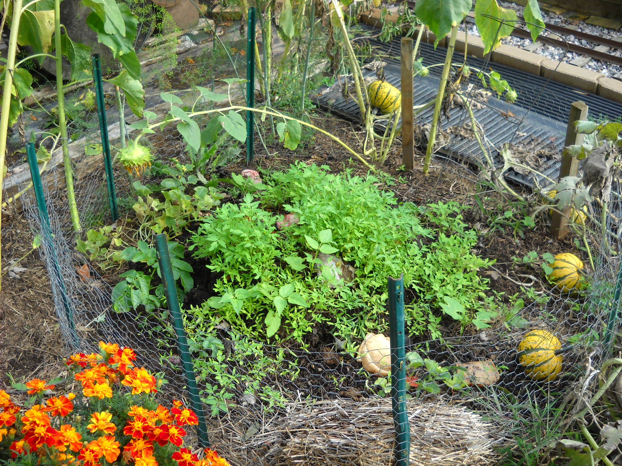 DSCN5707.JPG