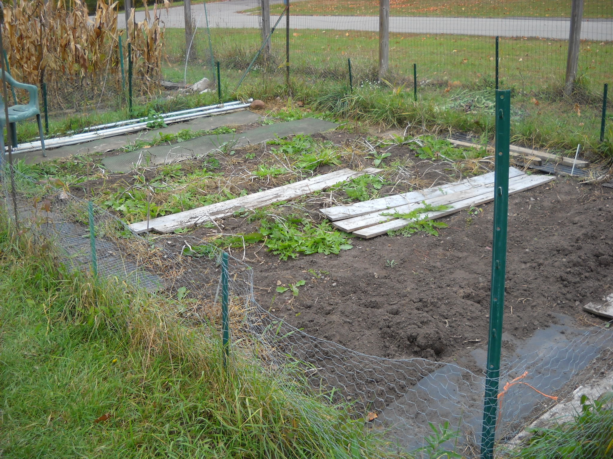 DSCN0207.JPG