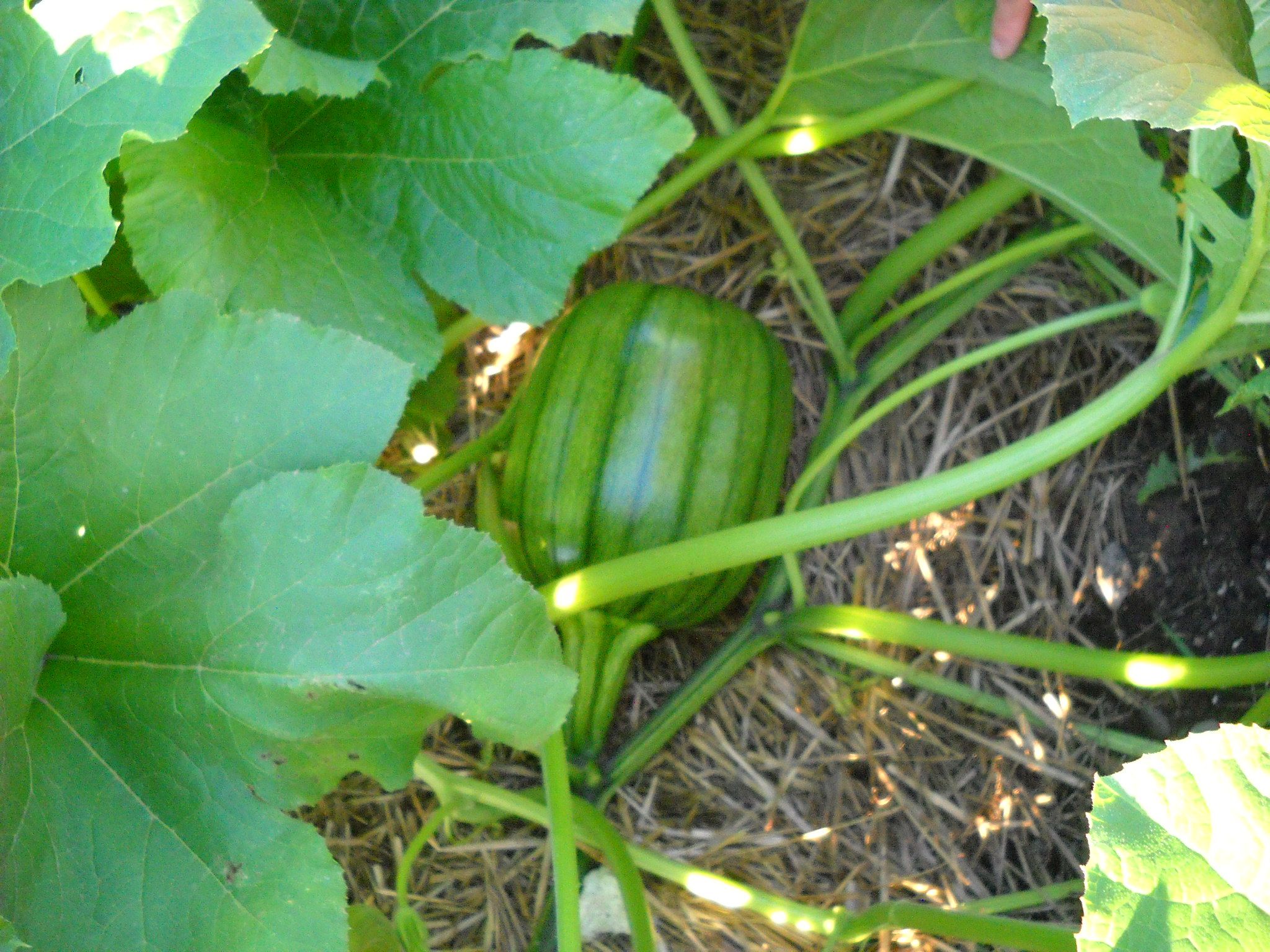 DSCN5415.JPG