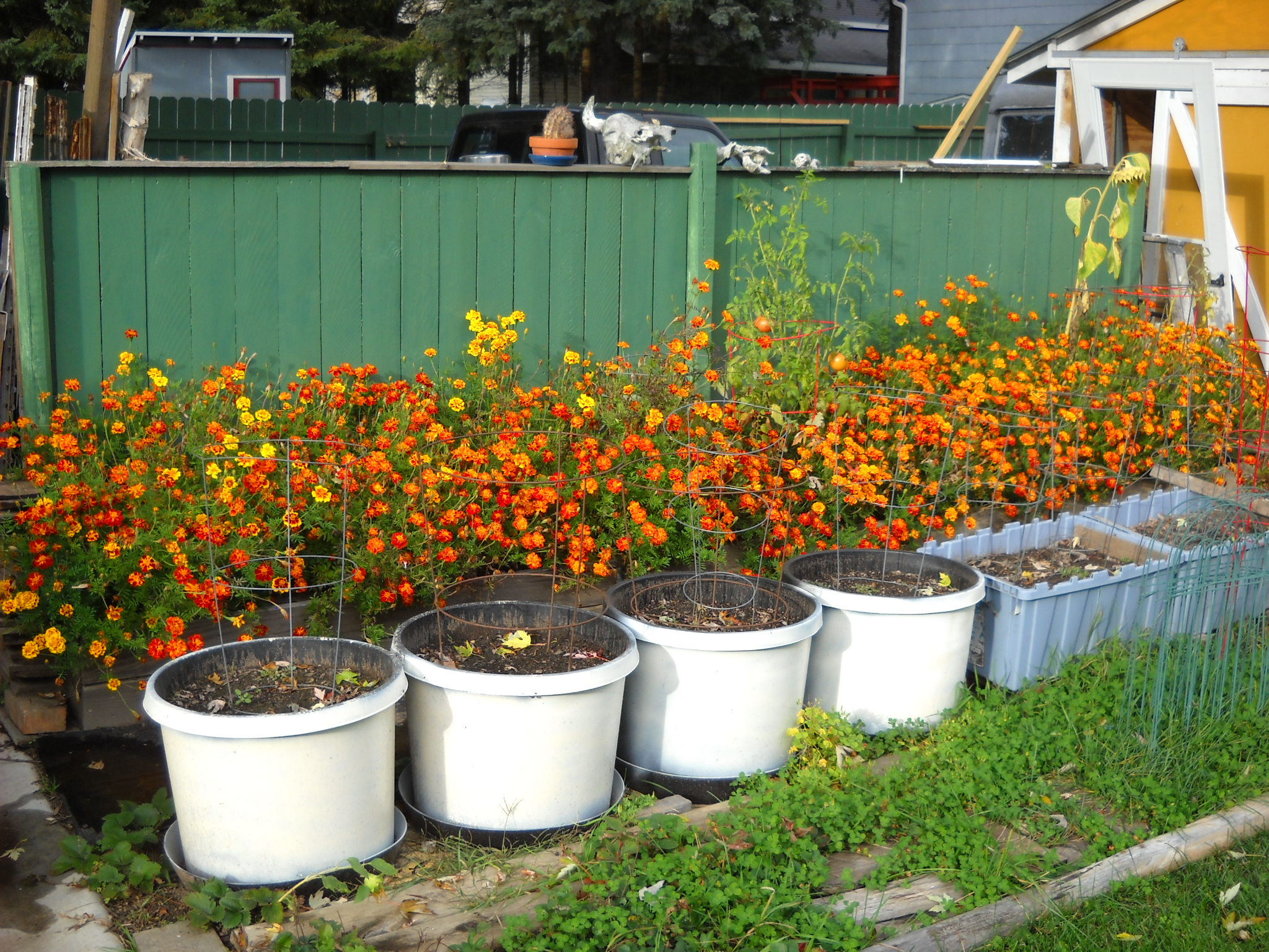 DSCN5708.JPG