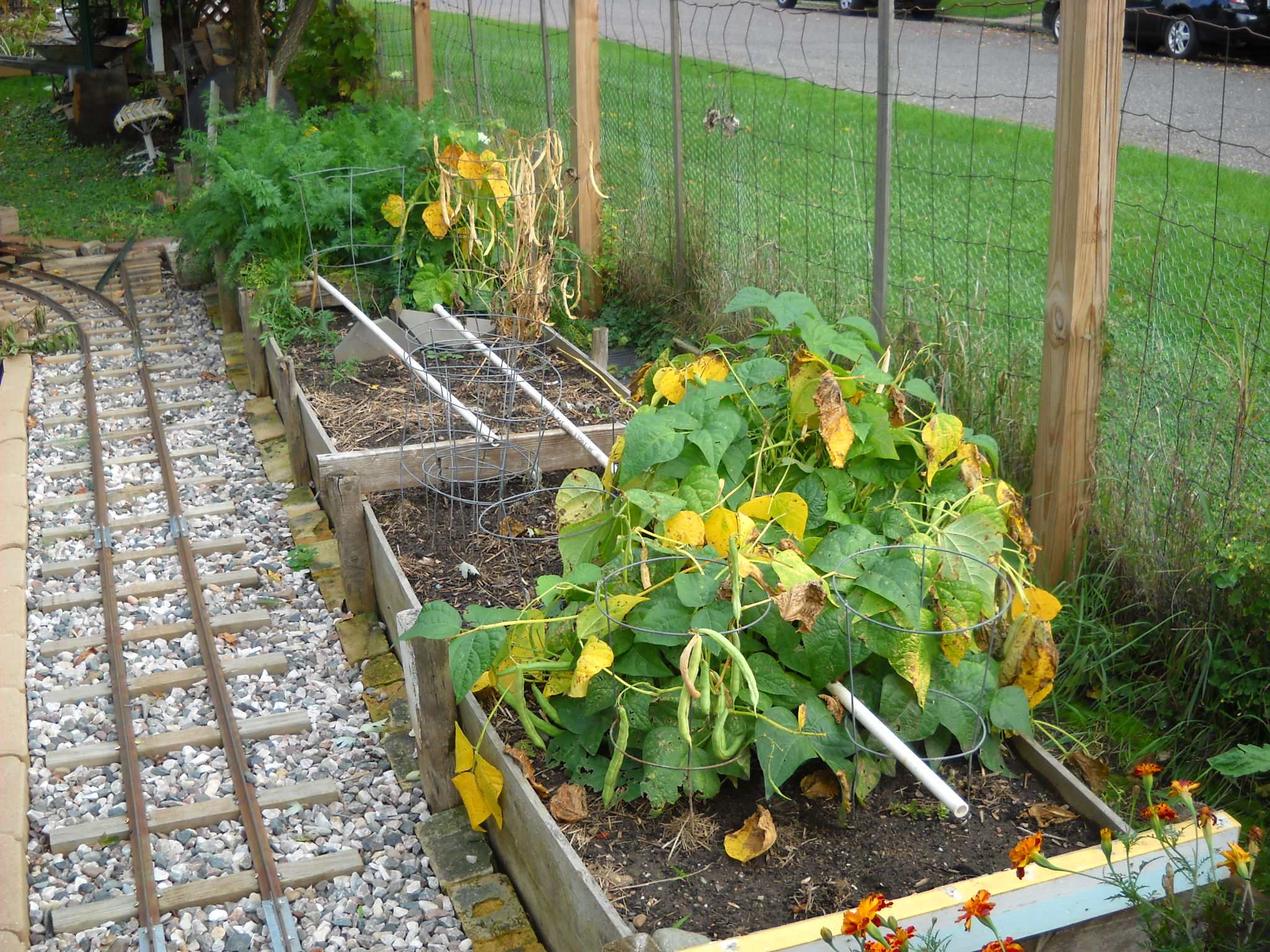 DSCN5704.JPG
