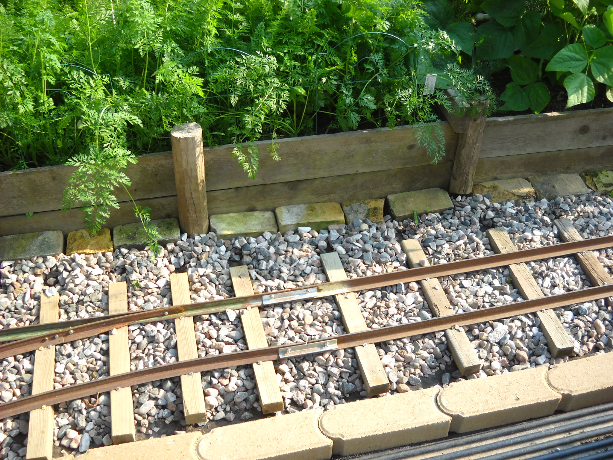 DSCN5299.JPG