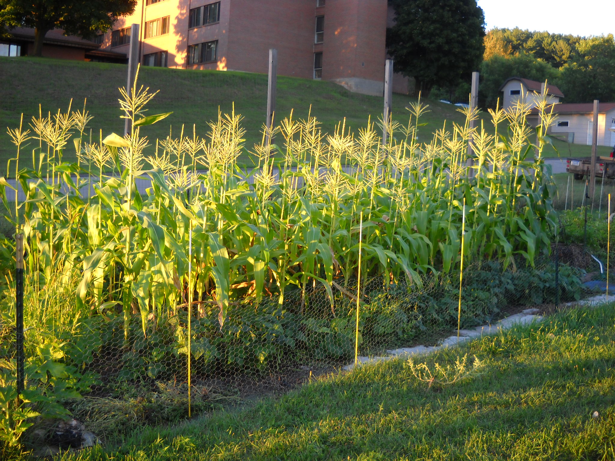 DSCN5425.JPG