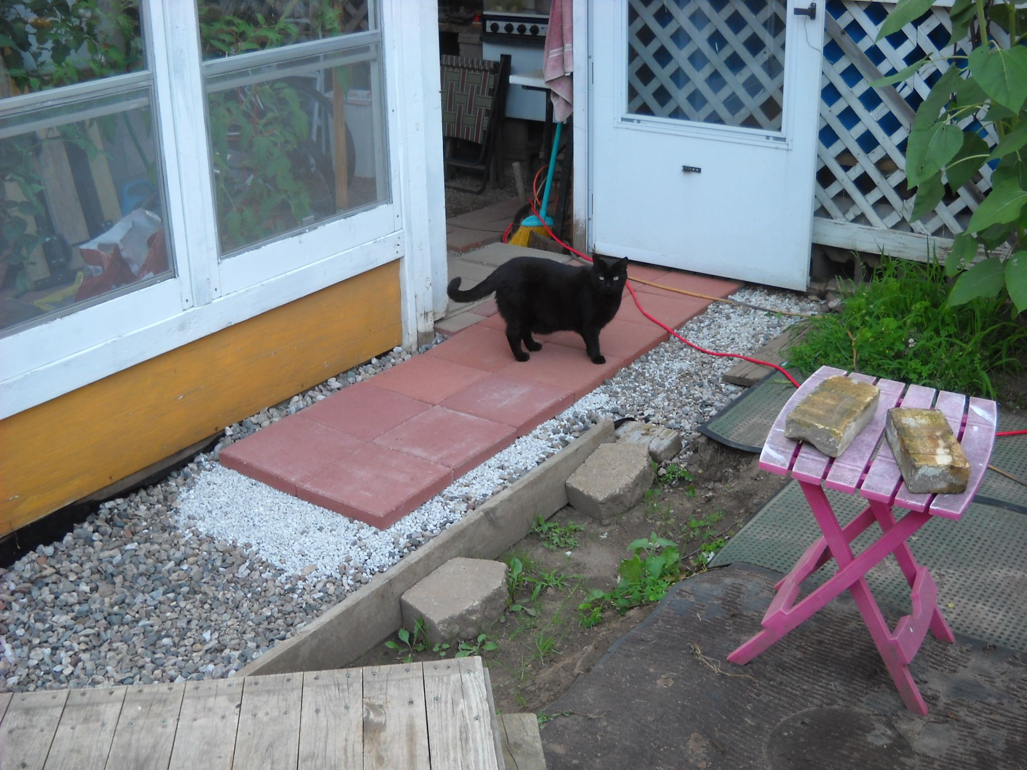 DSCN5308.JPG