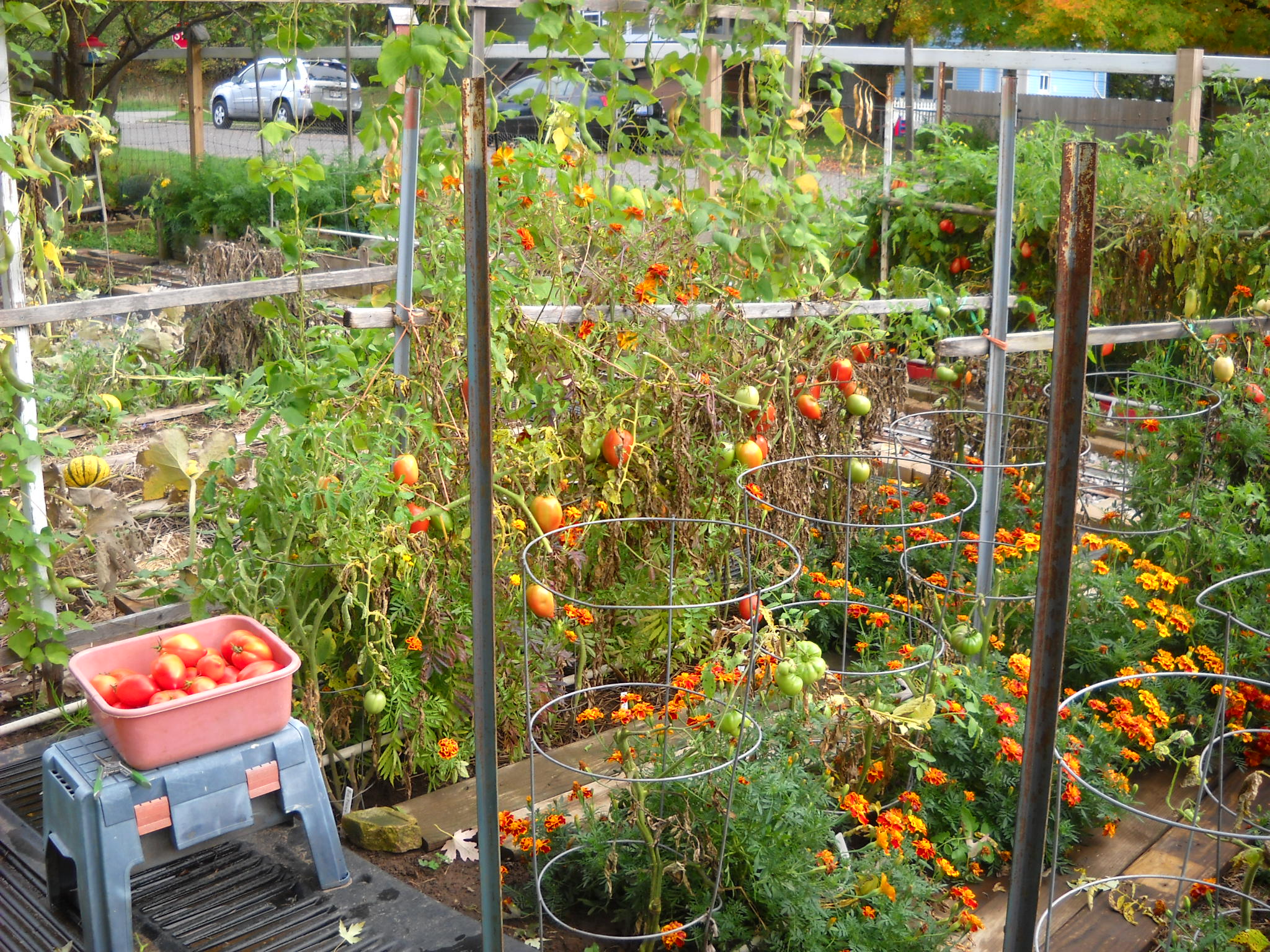 DSCN5701.JPG