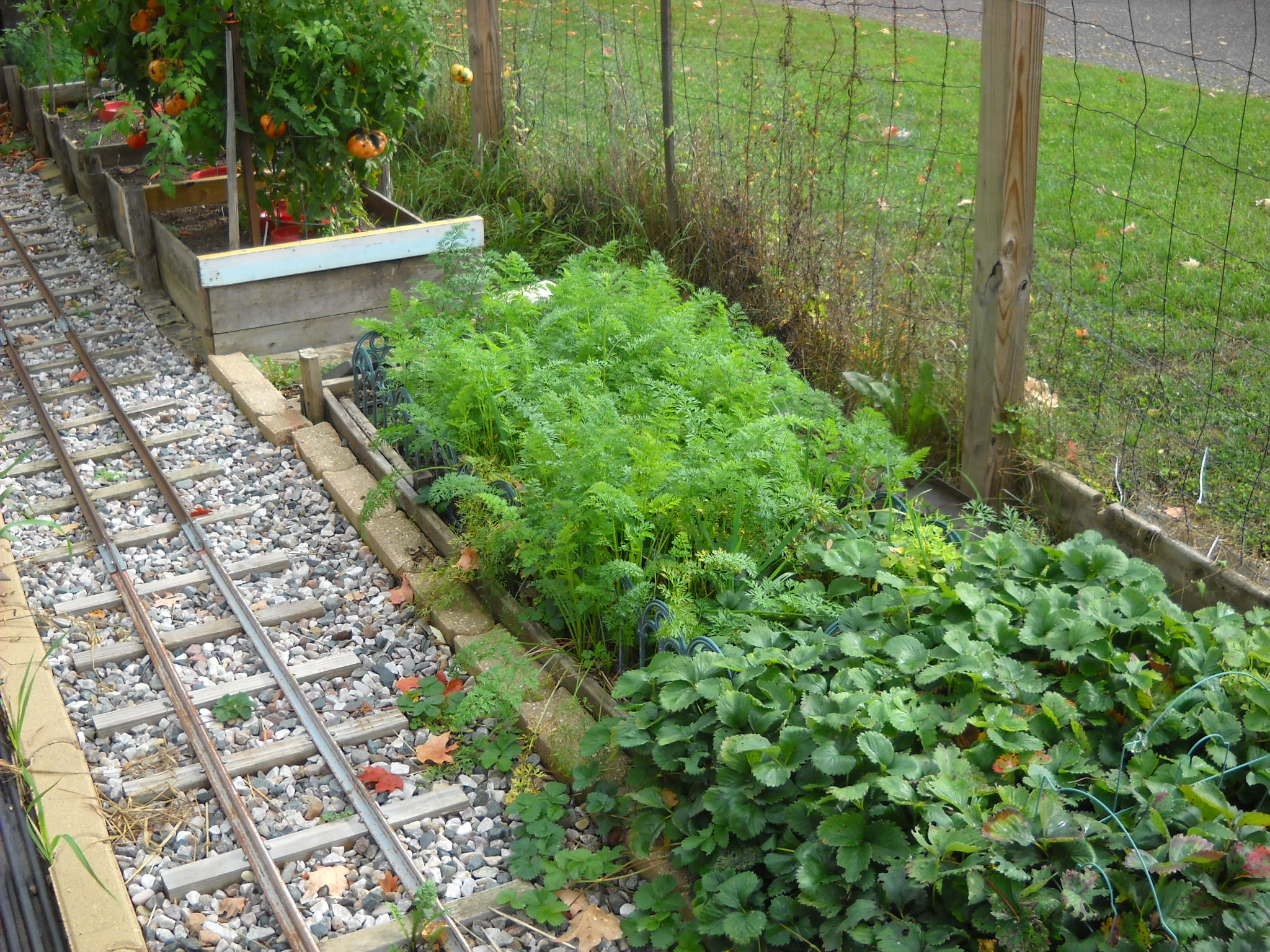 DSCN0176.JPG