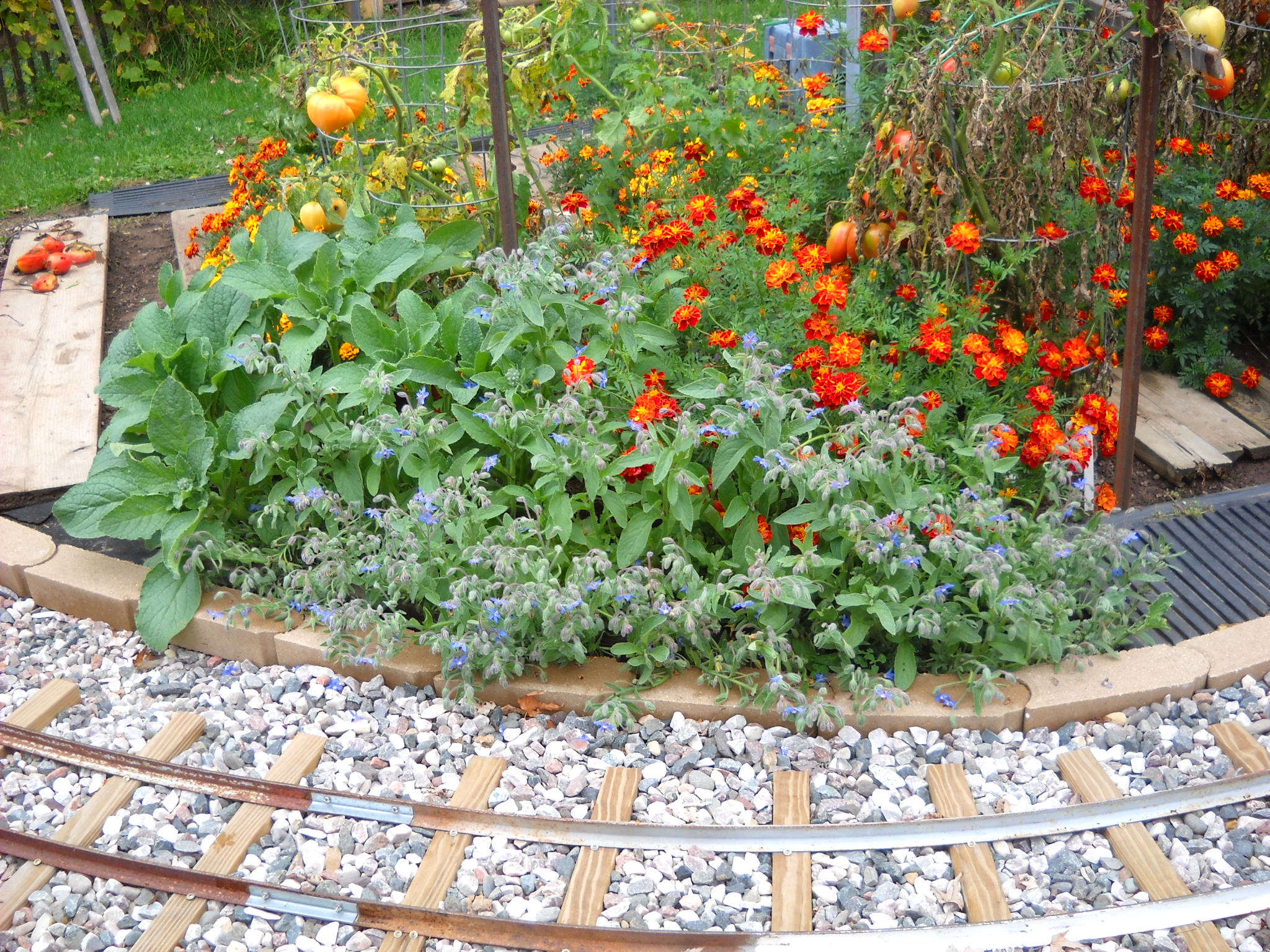 DSCN5711.JPG