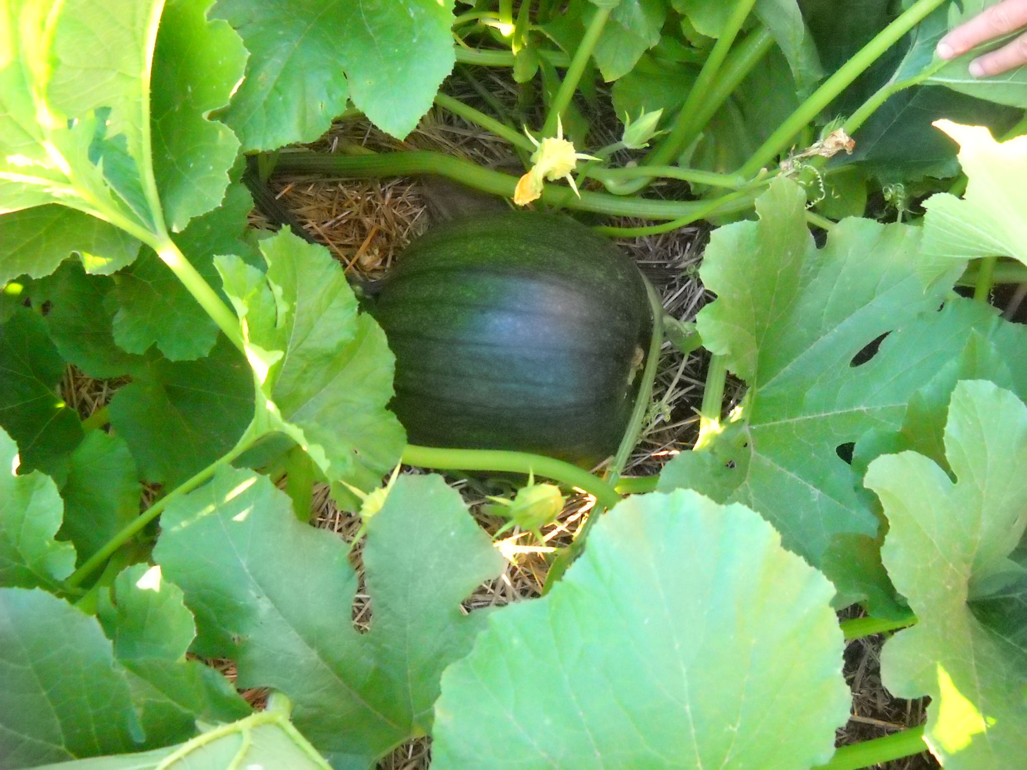 DSCN5414.JPG