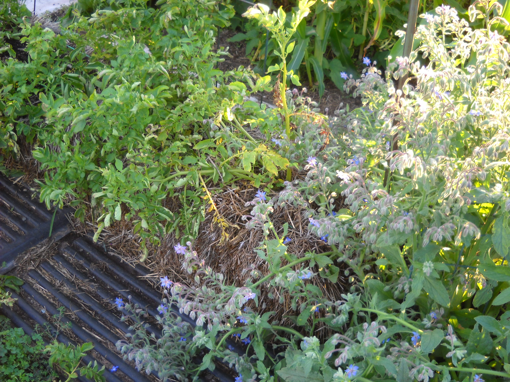 DSCN5424.JPG
