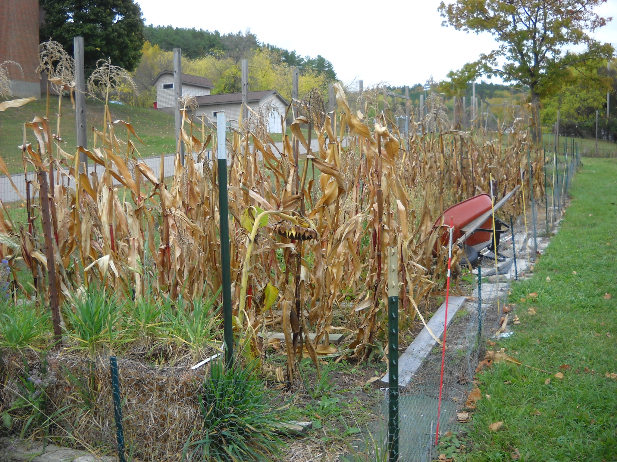 DSCN0204.JPG