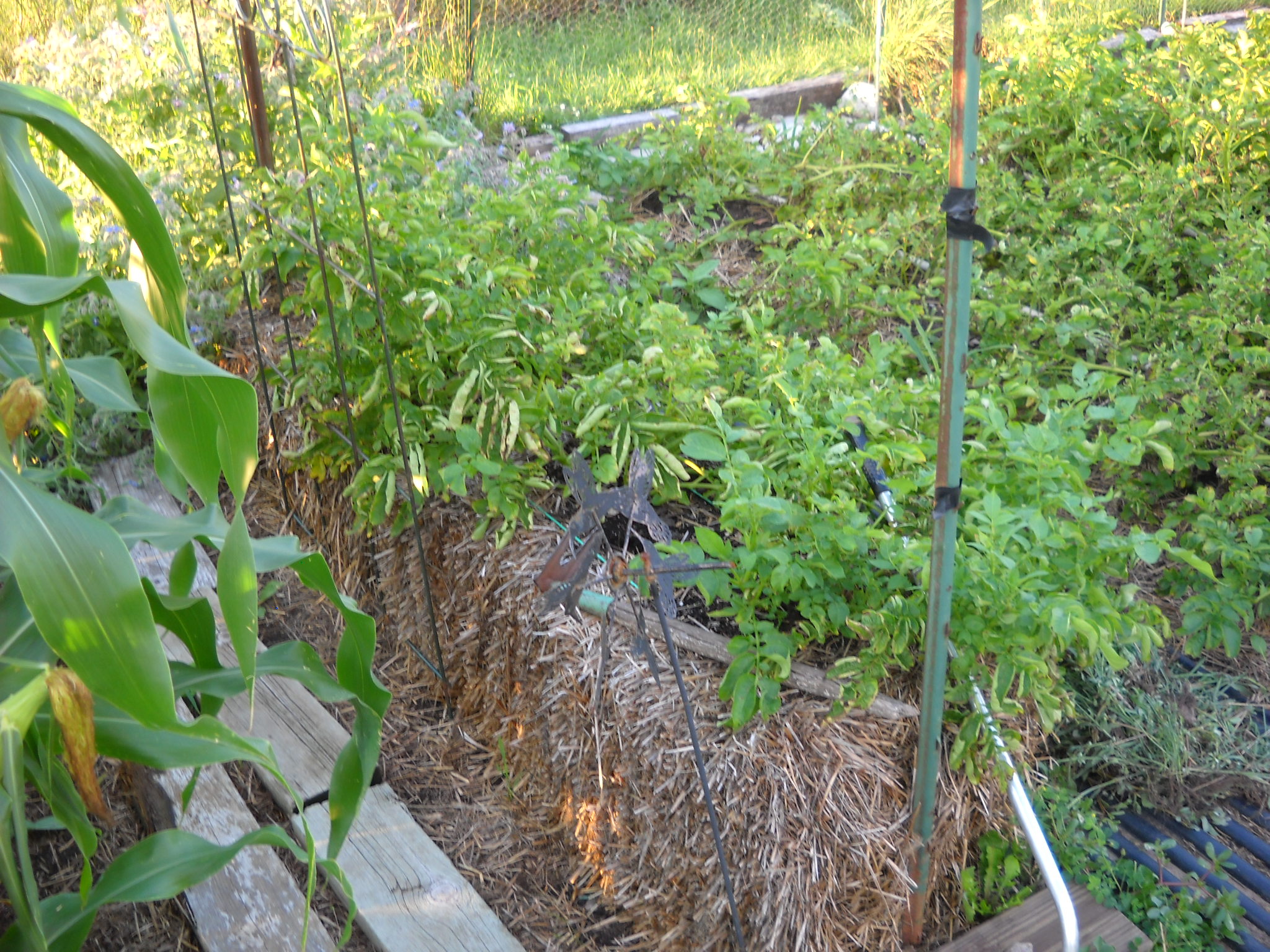 DSCN5422.JPG