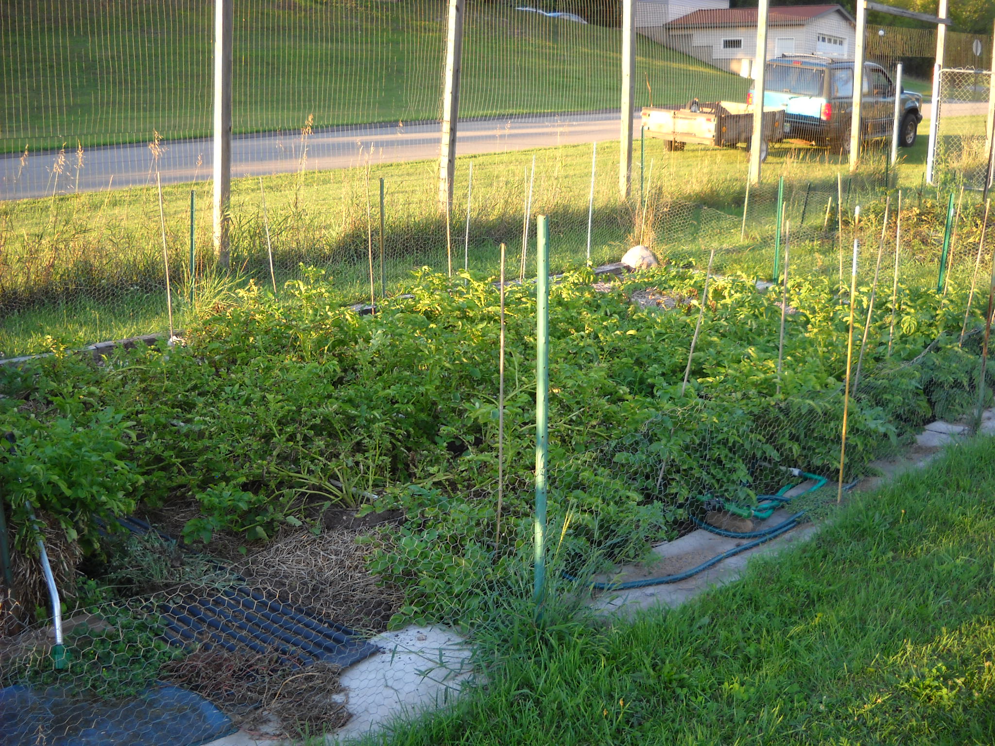 DSCN5421.JPG
