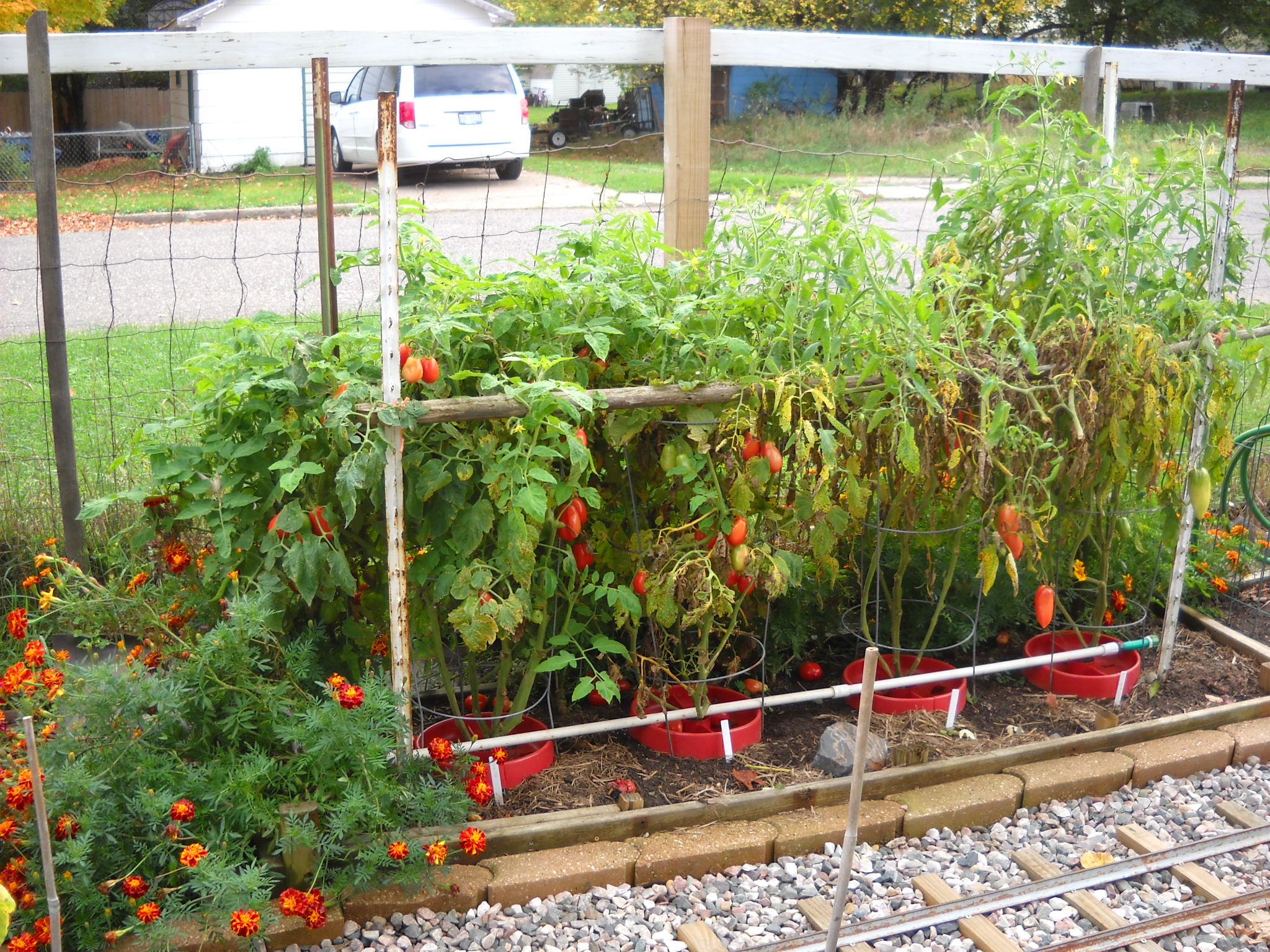 DSCN5703.JPG