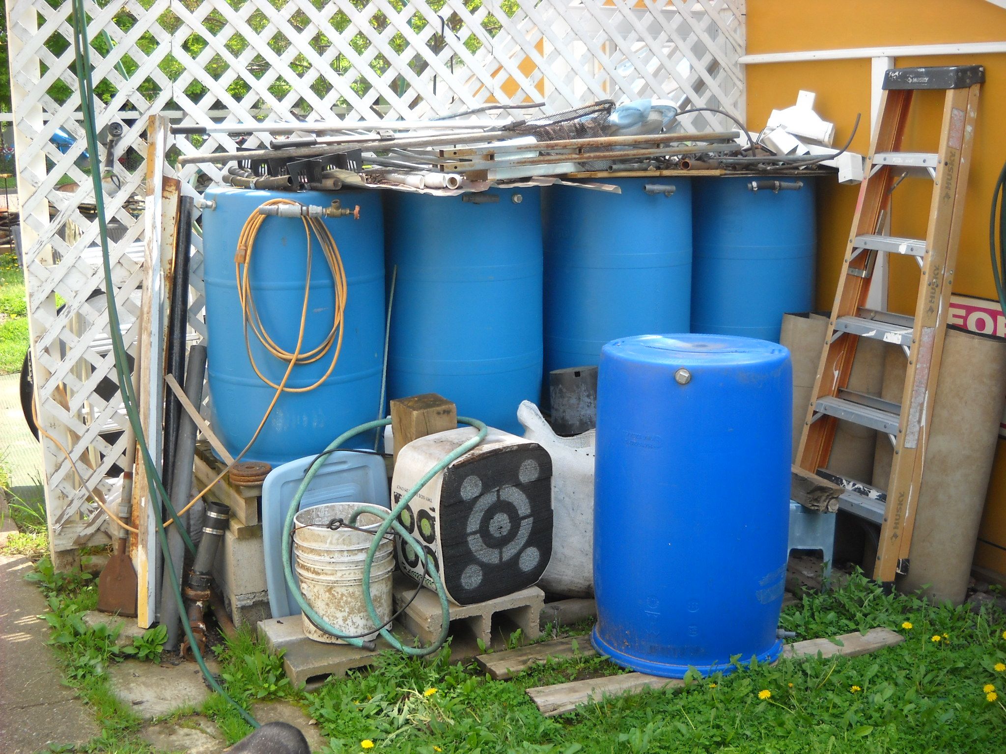 DSCN6445.JPG