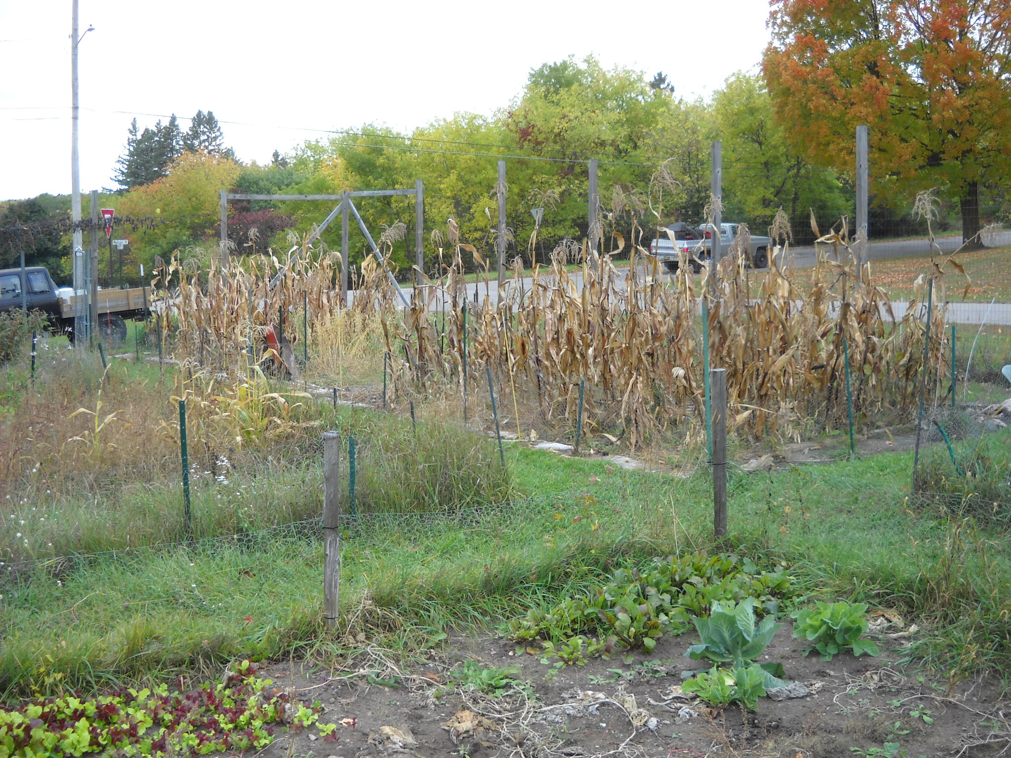 DSCN0206.JPG