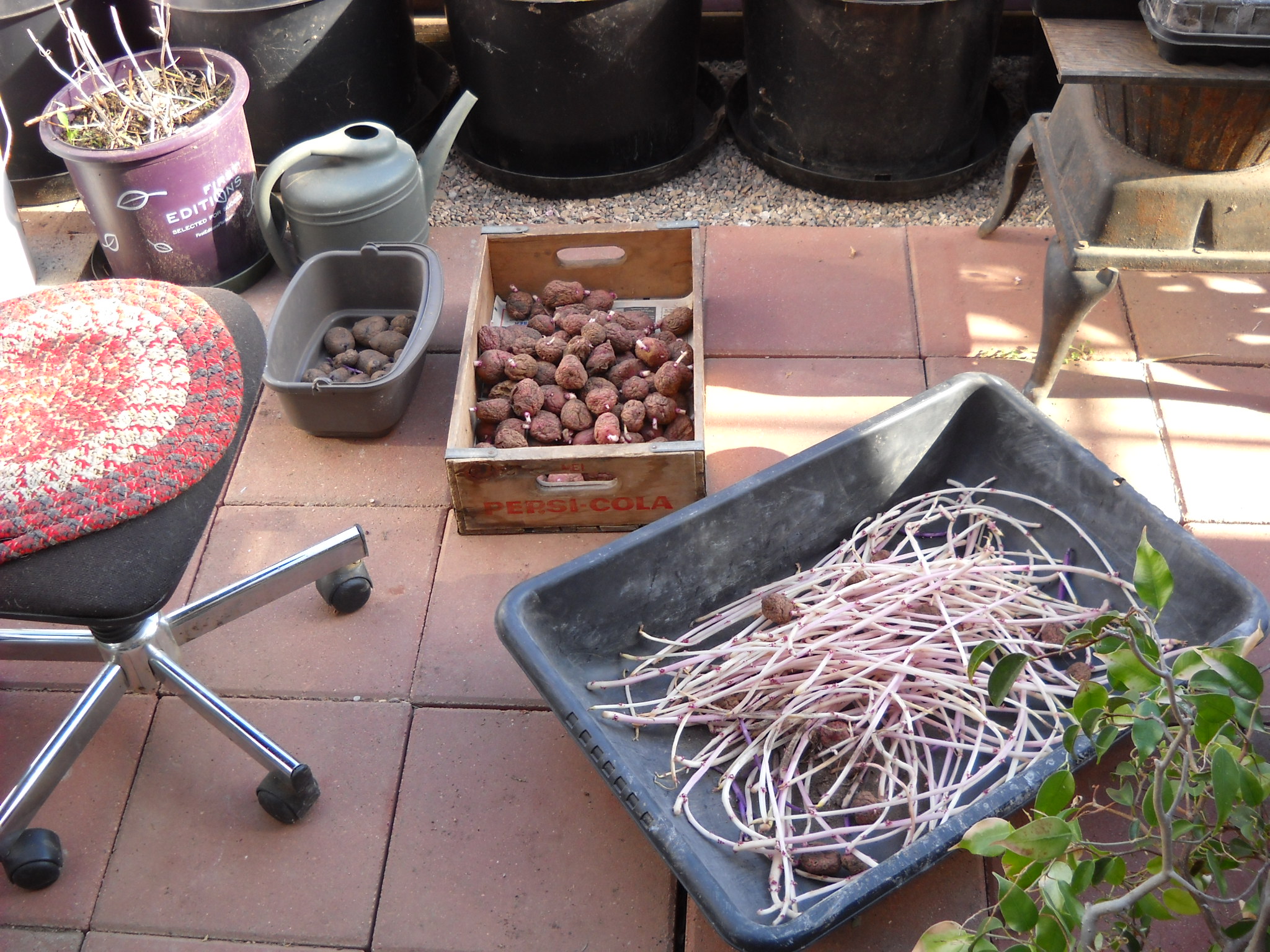 DSCN3040.JPG
