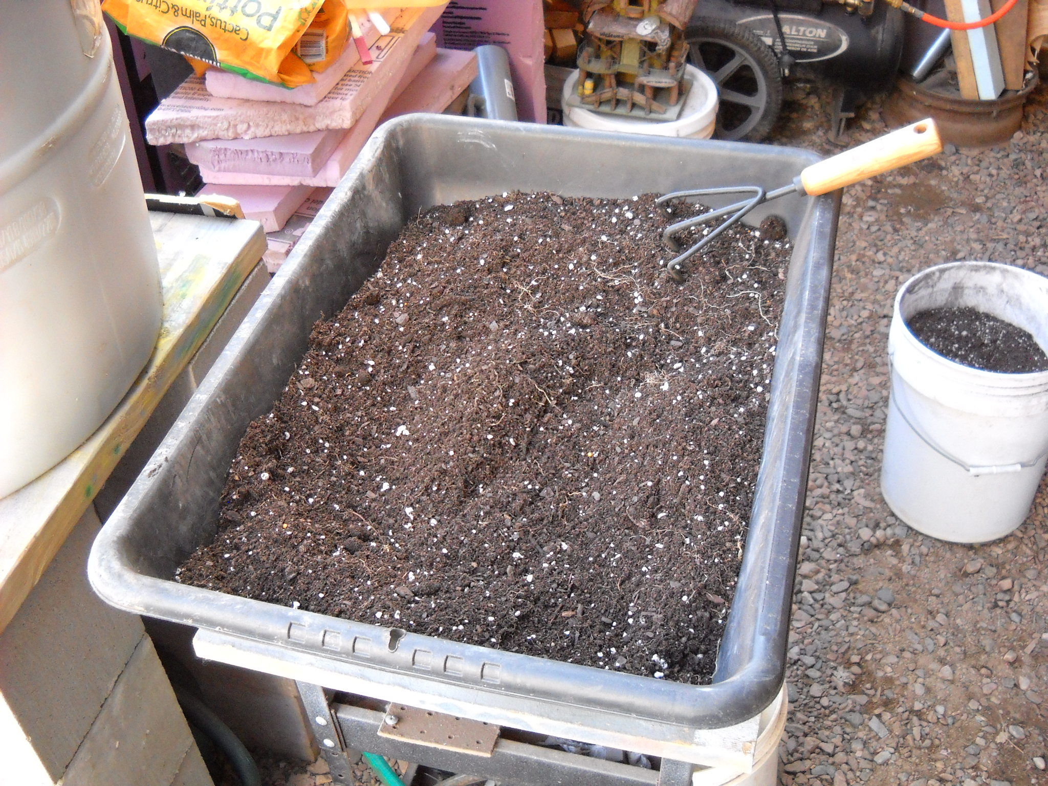 DSCN3045.JPG