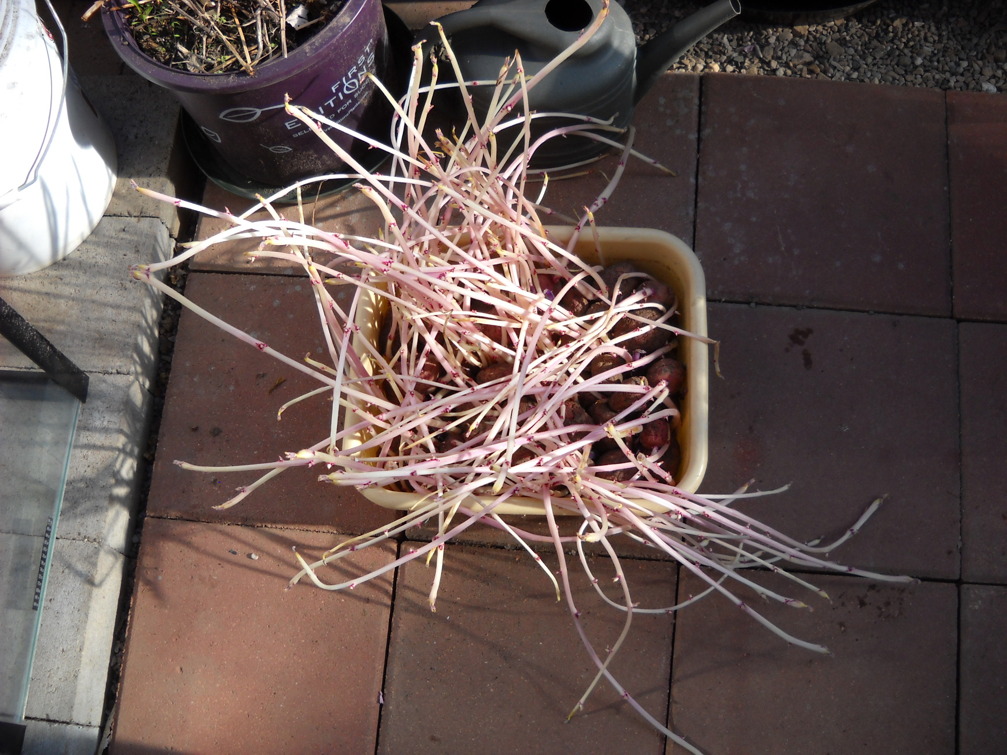 DSCN3039.JPG