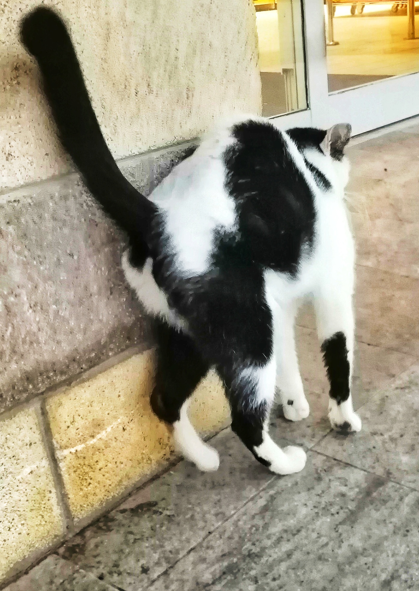 ... perchè io ho bisogno di coccole, ma anche di riempirmi lo stomaco! 