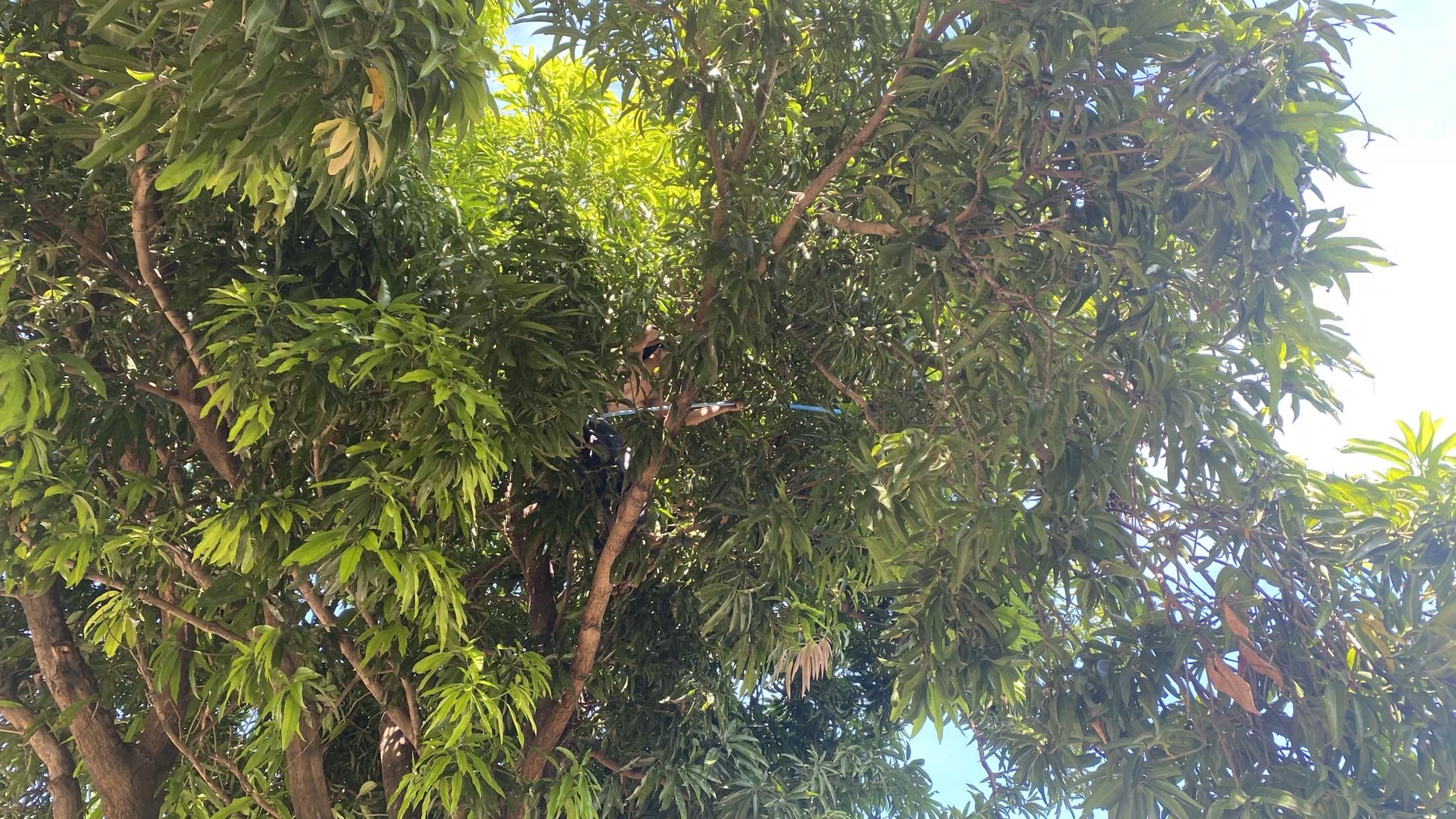 IMG_3174.jpeg