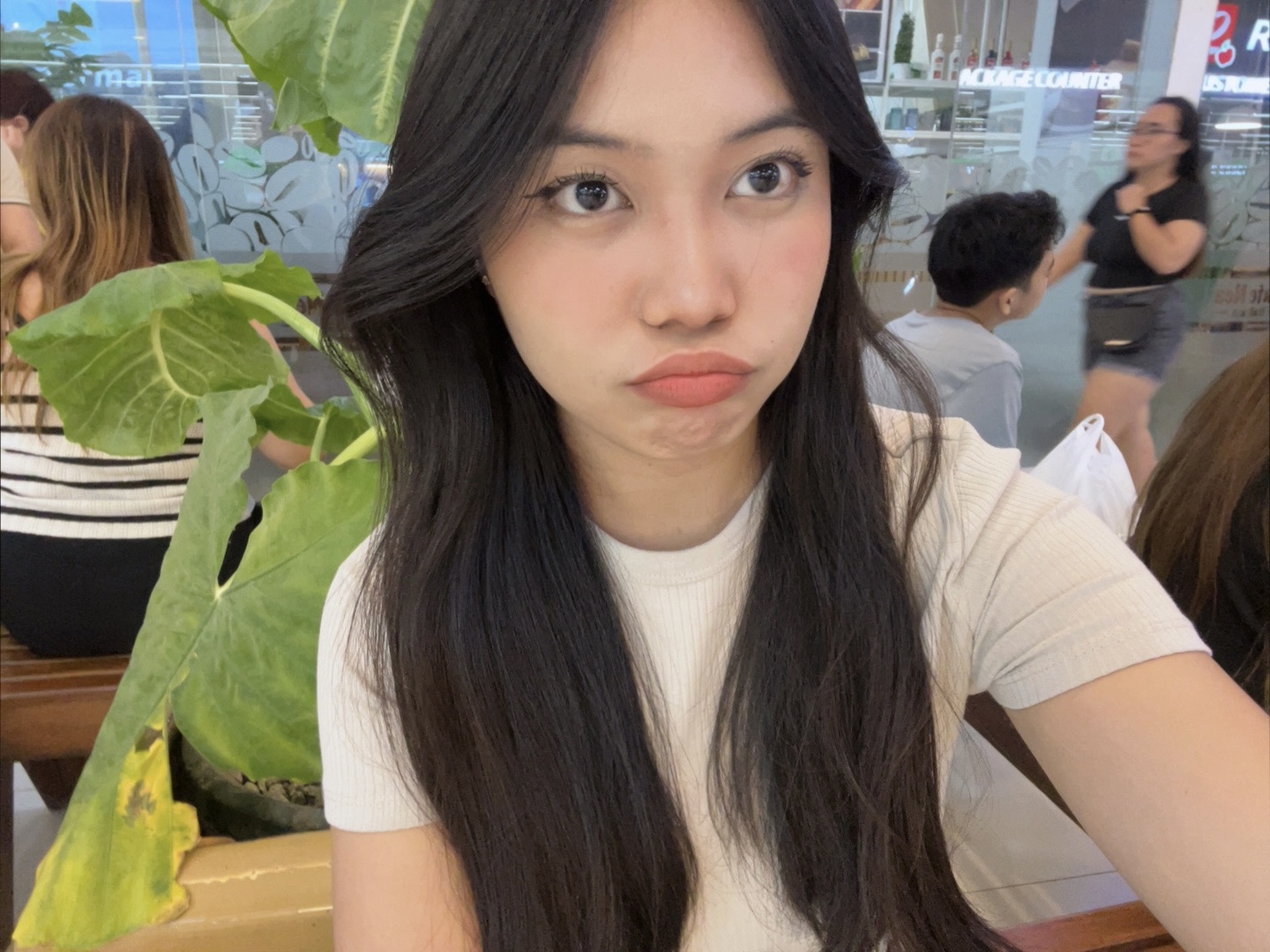 IMG_6466.jpeg