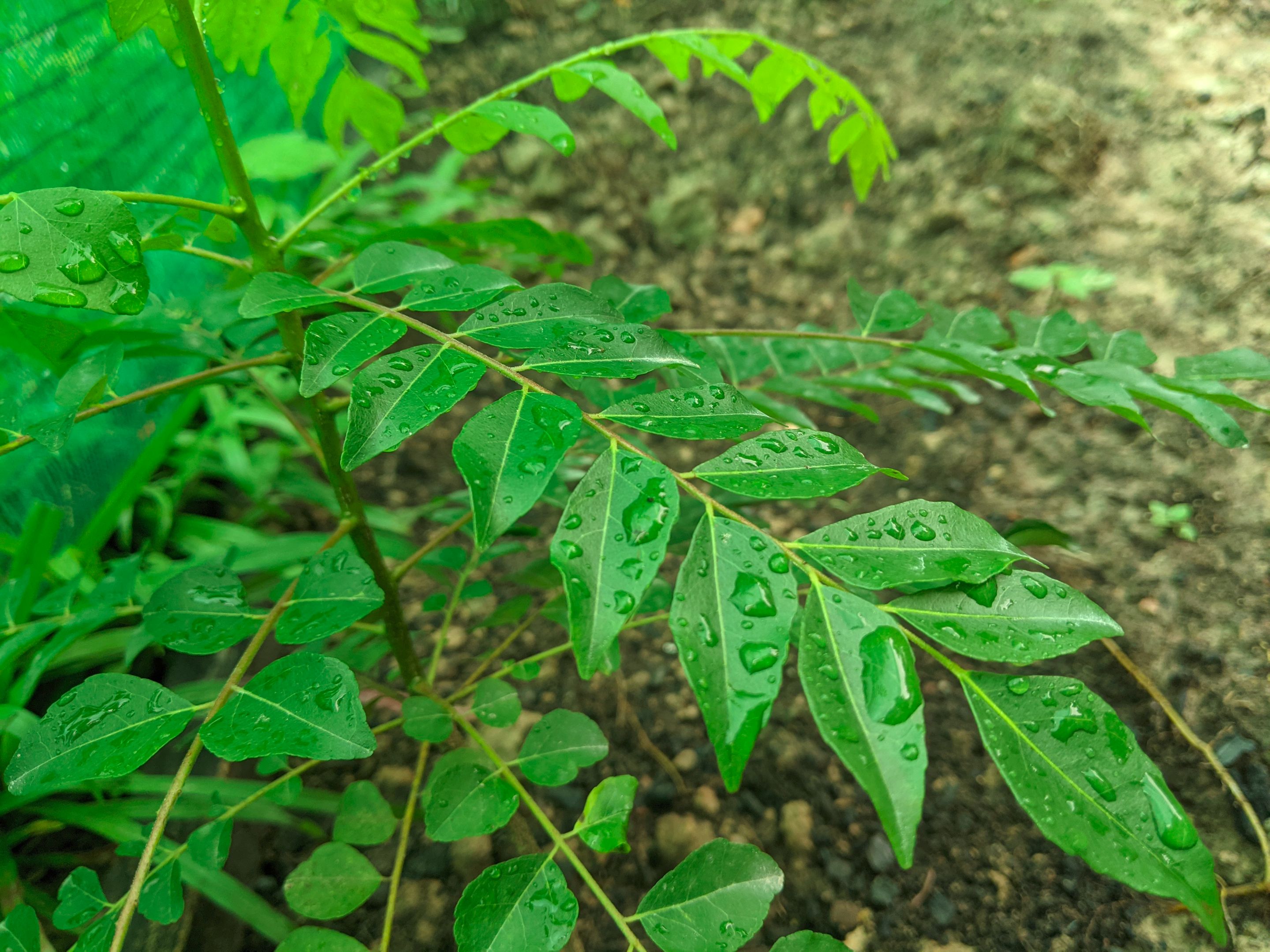 PXL_20210607_015227622.jpg