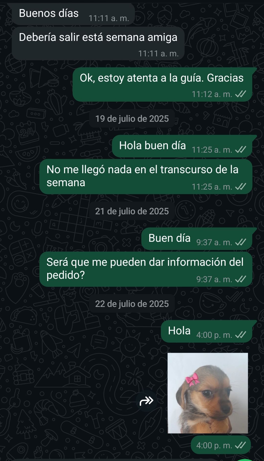 1000130277.jpg